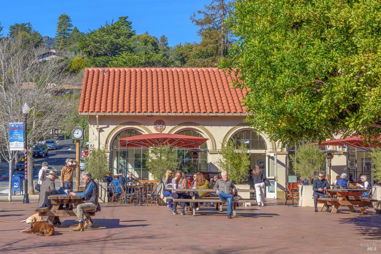 21 Eucalyptus Knoll Street