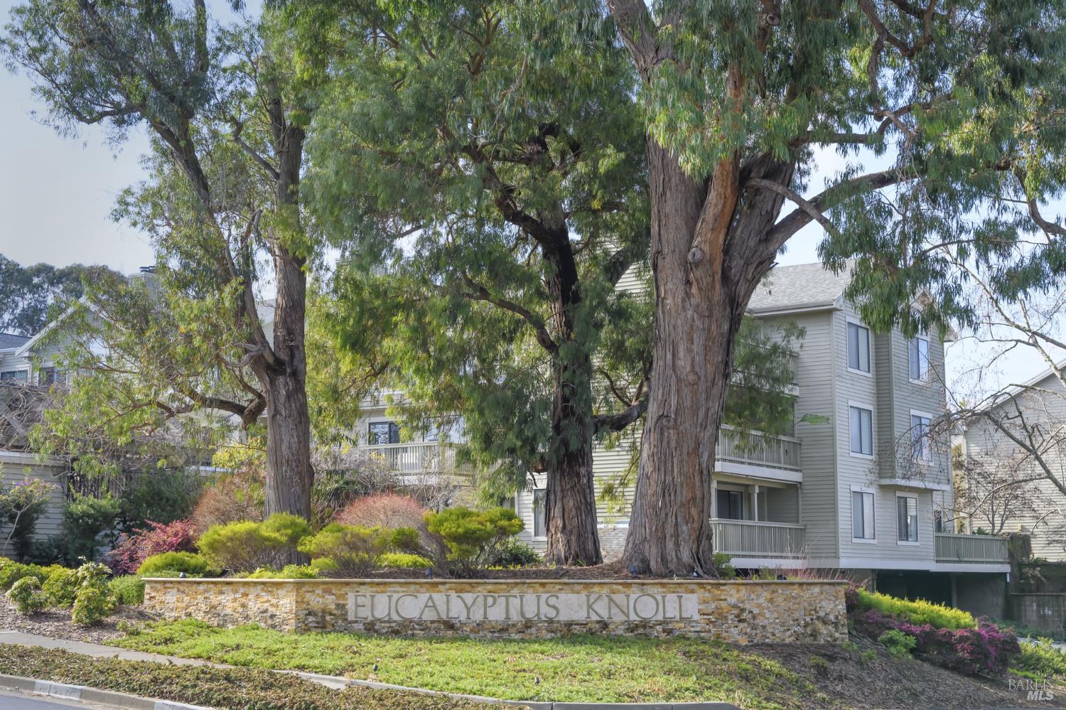 21 Eucalyptus Knoll Street