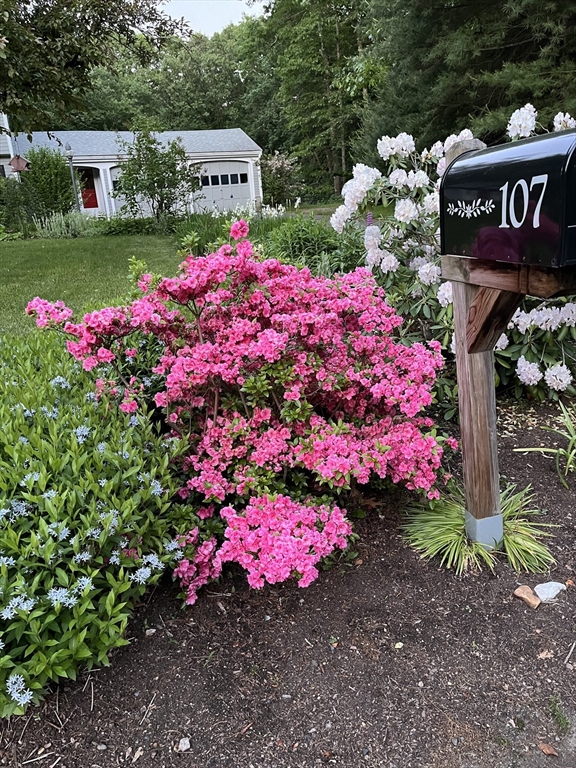 107 Bristers Hill Rd