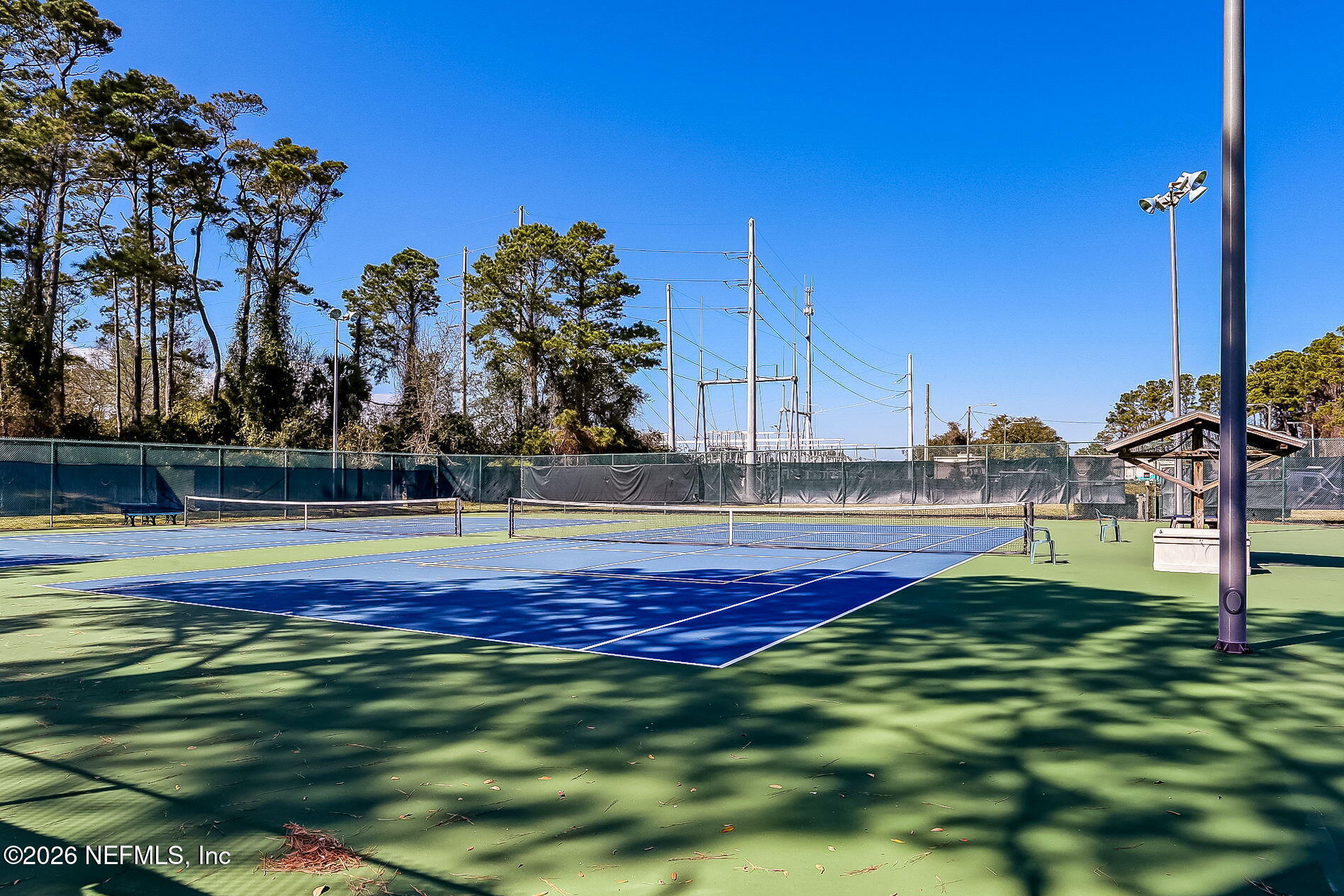 213 PINK IBIS Court