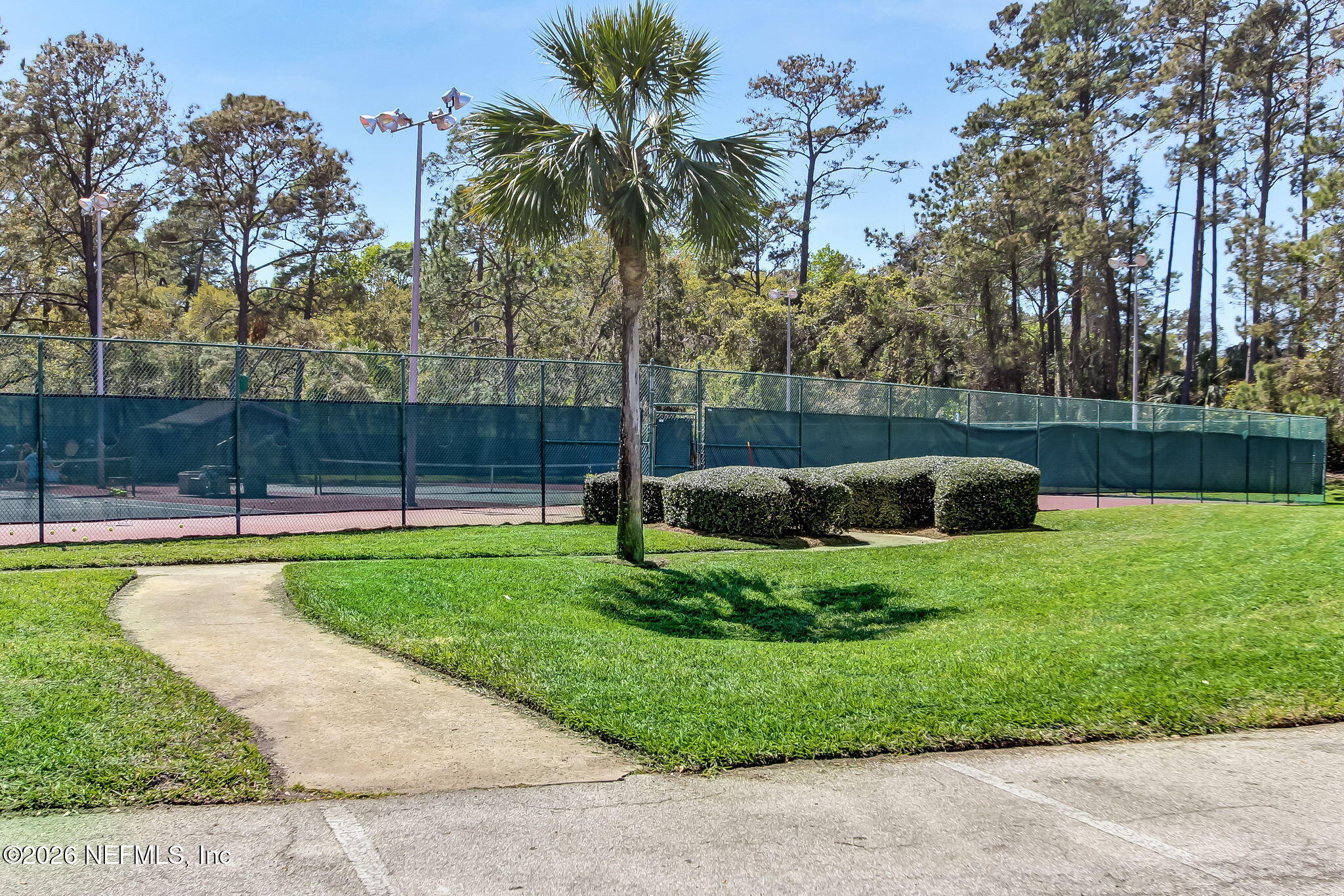 213 PINK IBIS Court