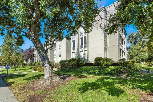 1051 Beach Park Boulevard 204