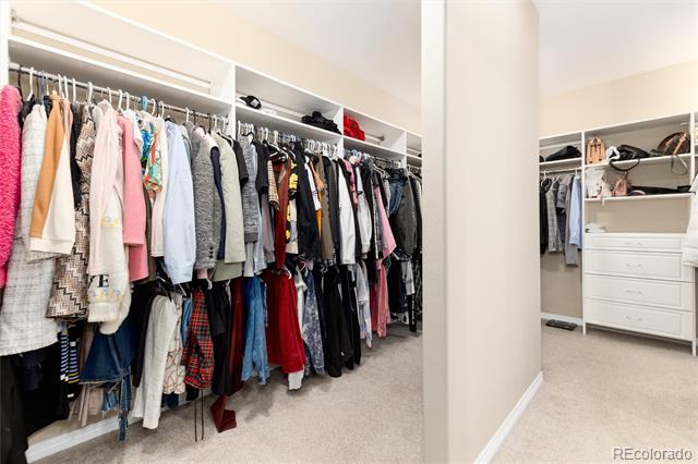 10877 Skydance Drive