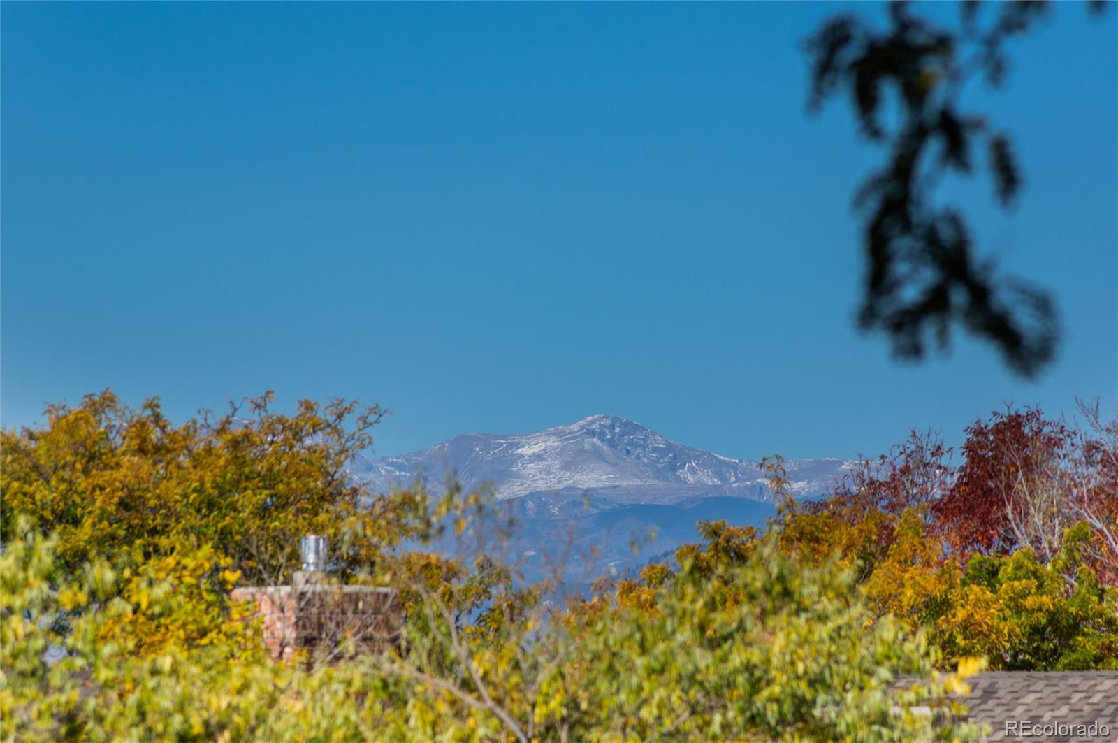 9047 Mountain Laurel Way