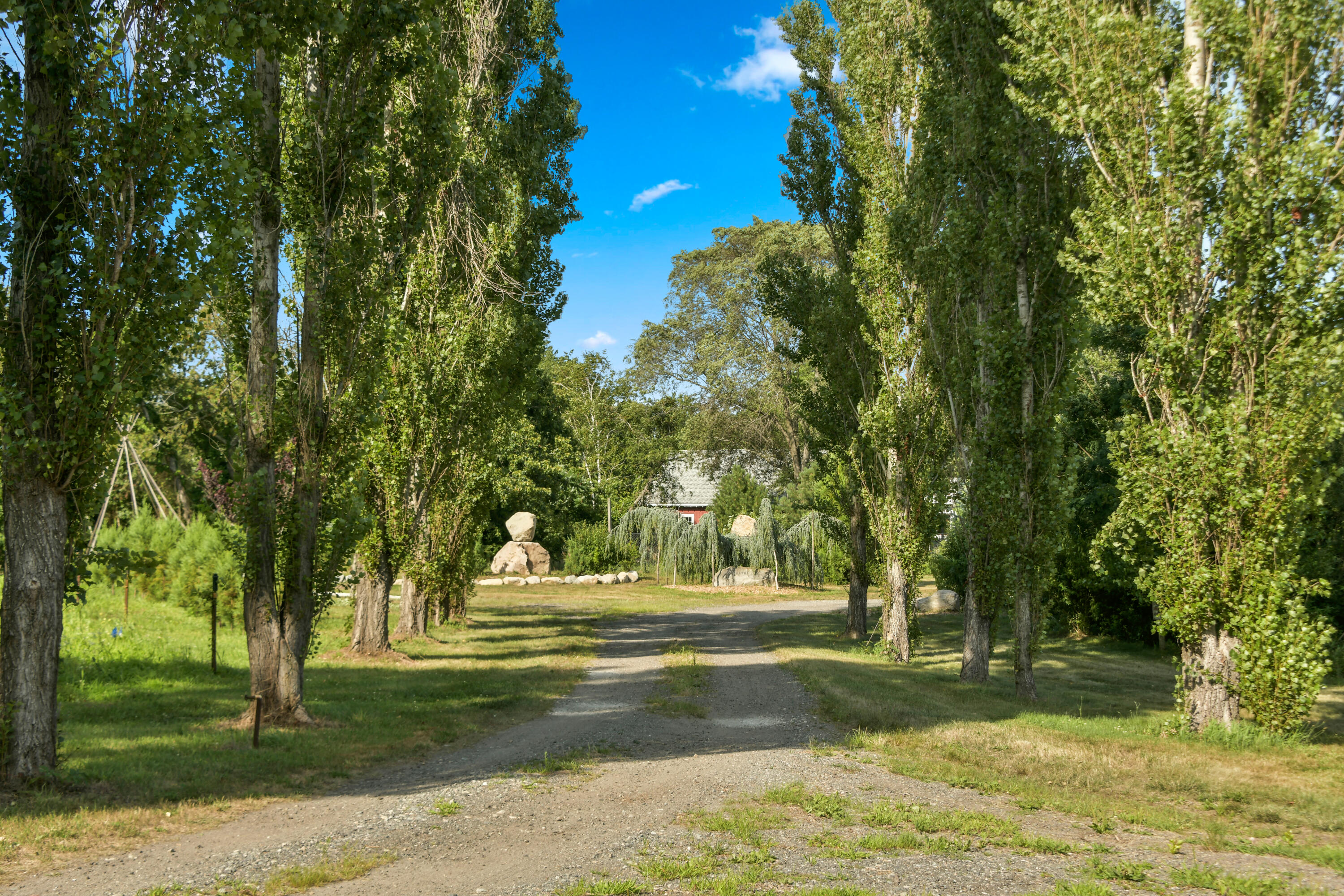 46A Roos Road