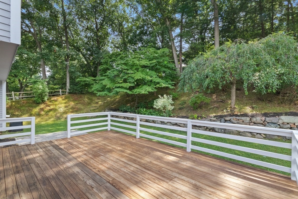 71 Richdale Rd