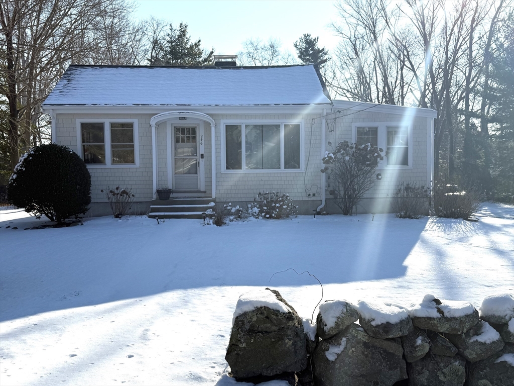 246 Beechwood Street
