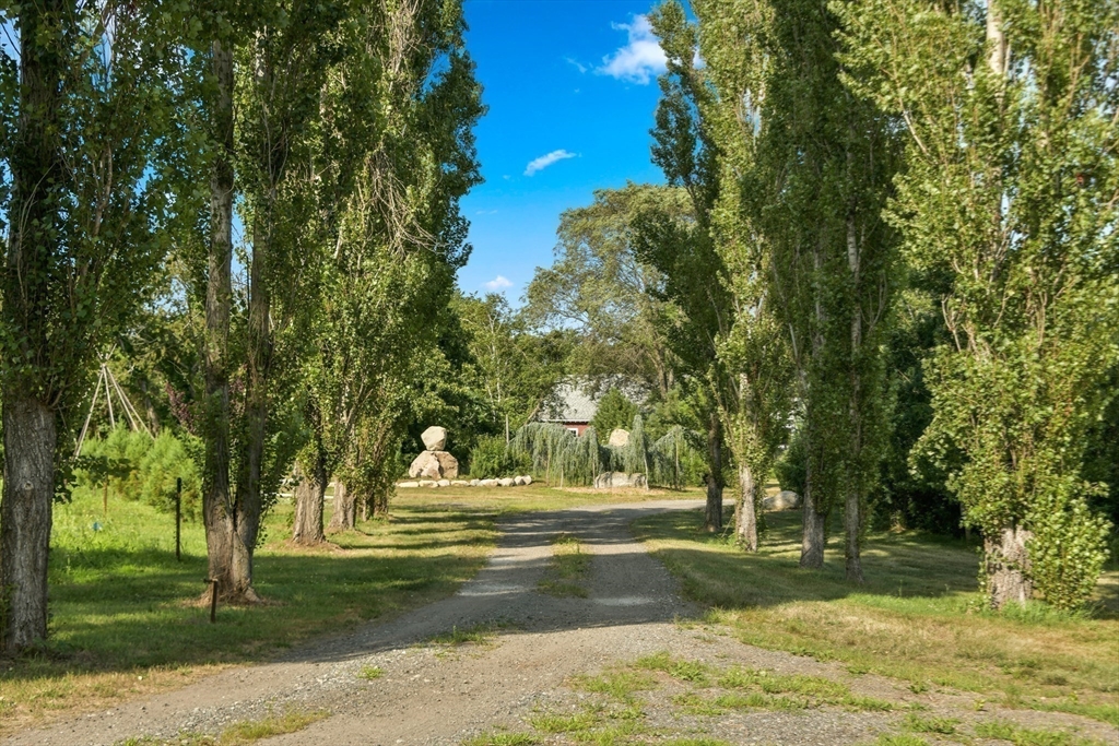 46 Roos Road
