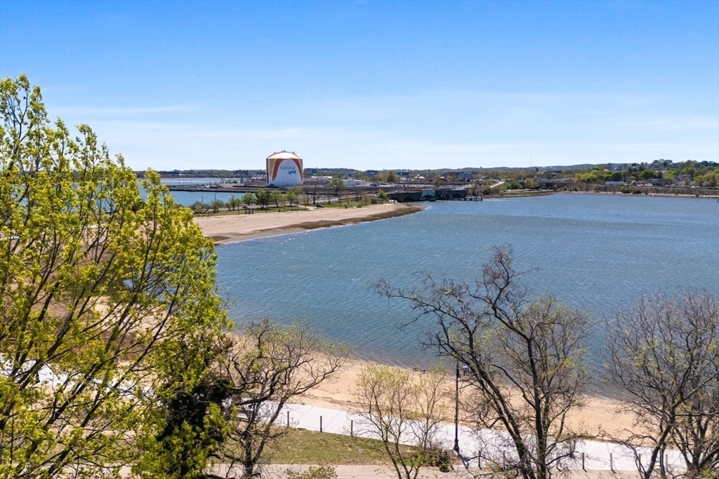 201 Savin Hill Ave # 2