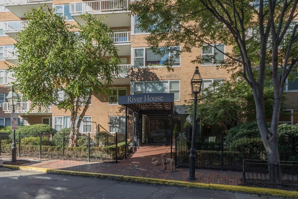 145 Pinckney St # 719