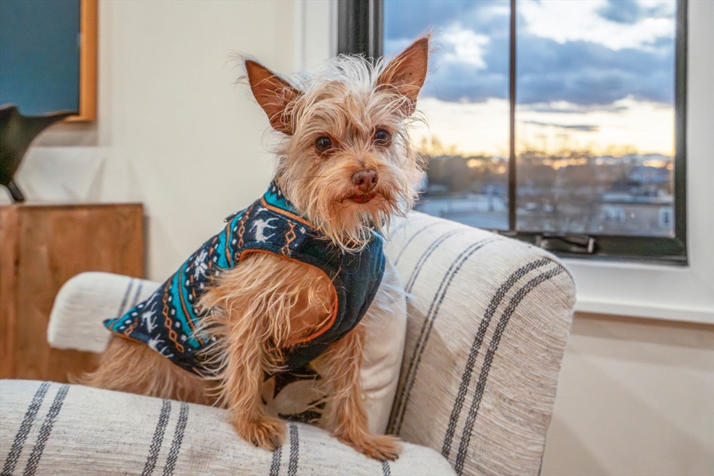 34 Vinton Street Unit: PH4