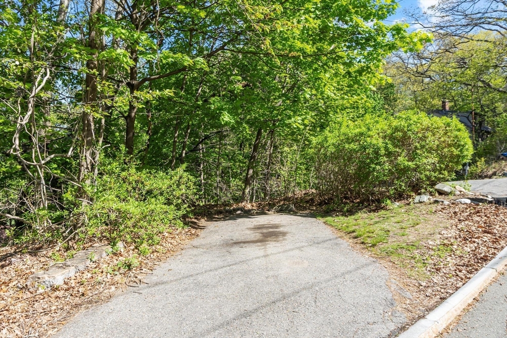 25 Naples Road