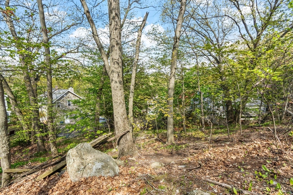 25 Naples Road