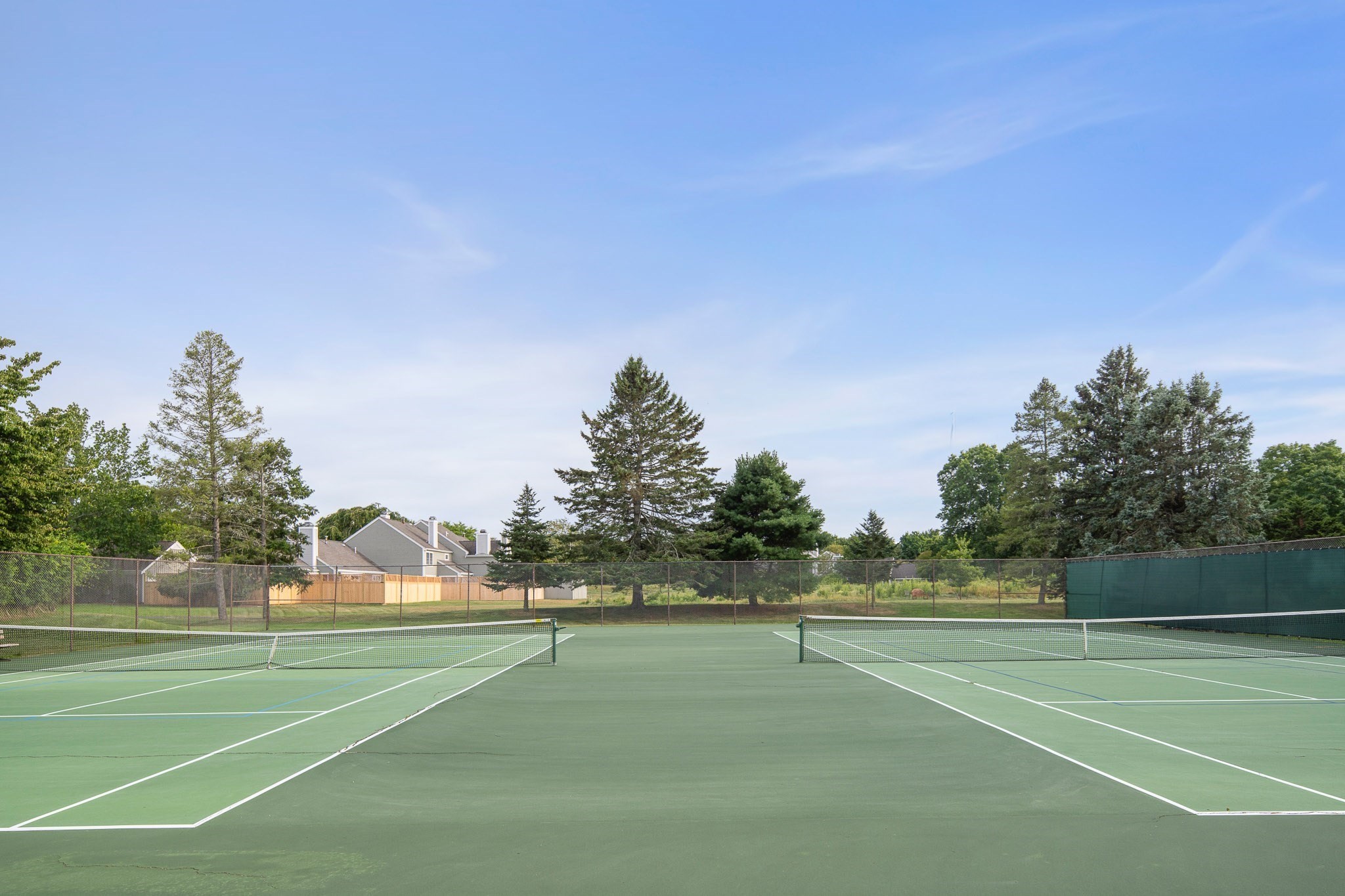 116 Thistle Patch Way # 116
