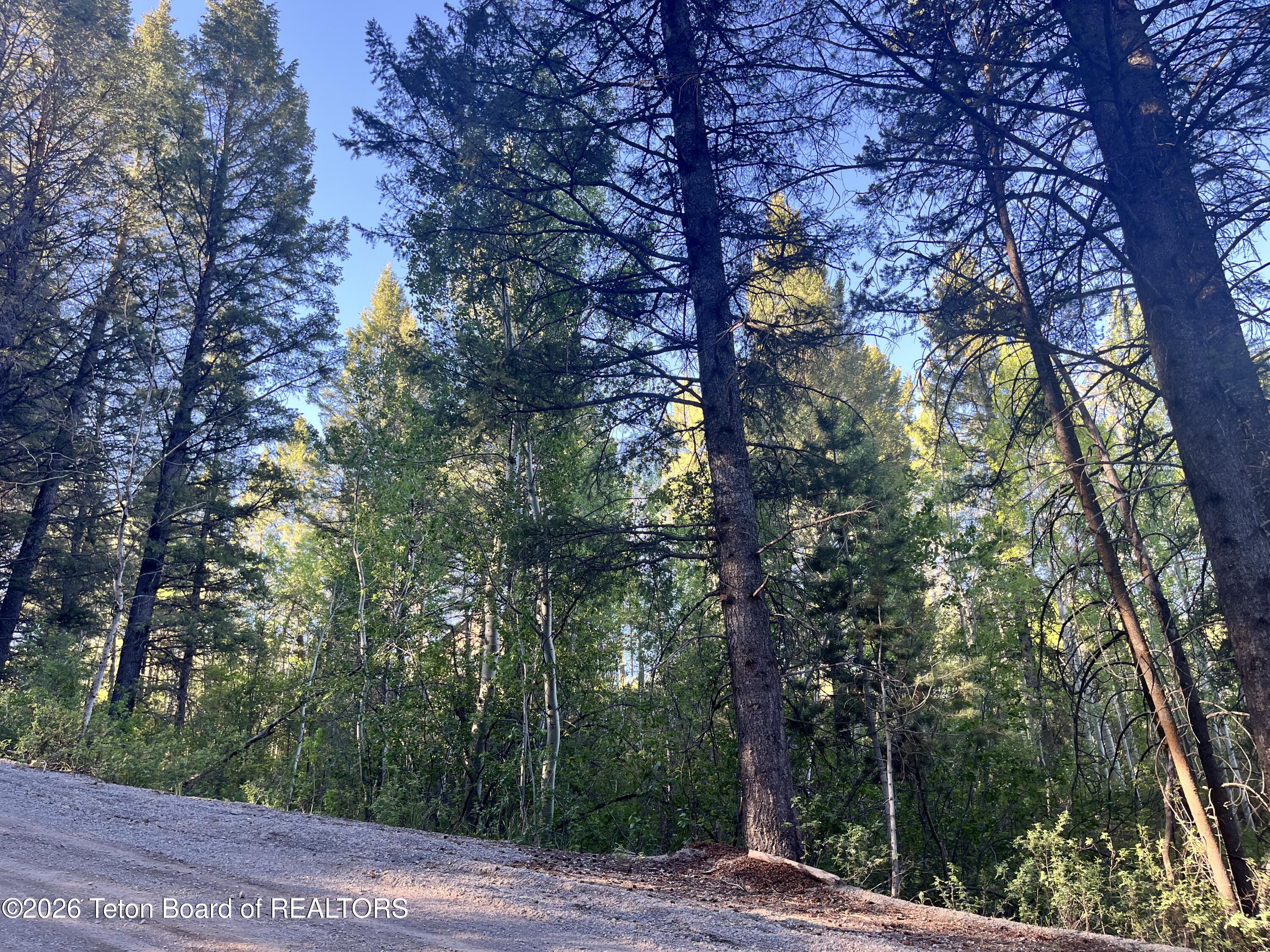 UN 1 L 46 SPRUCE Drive