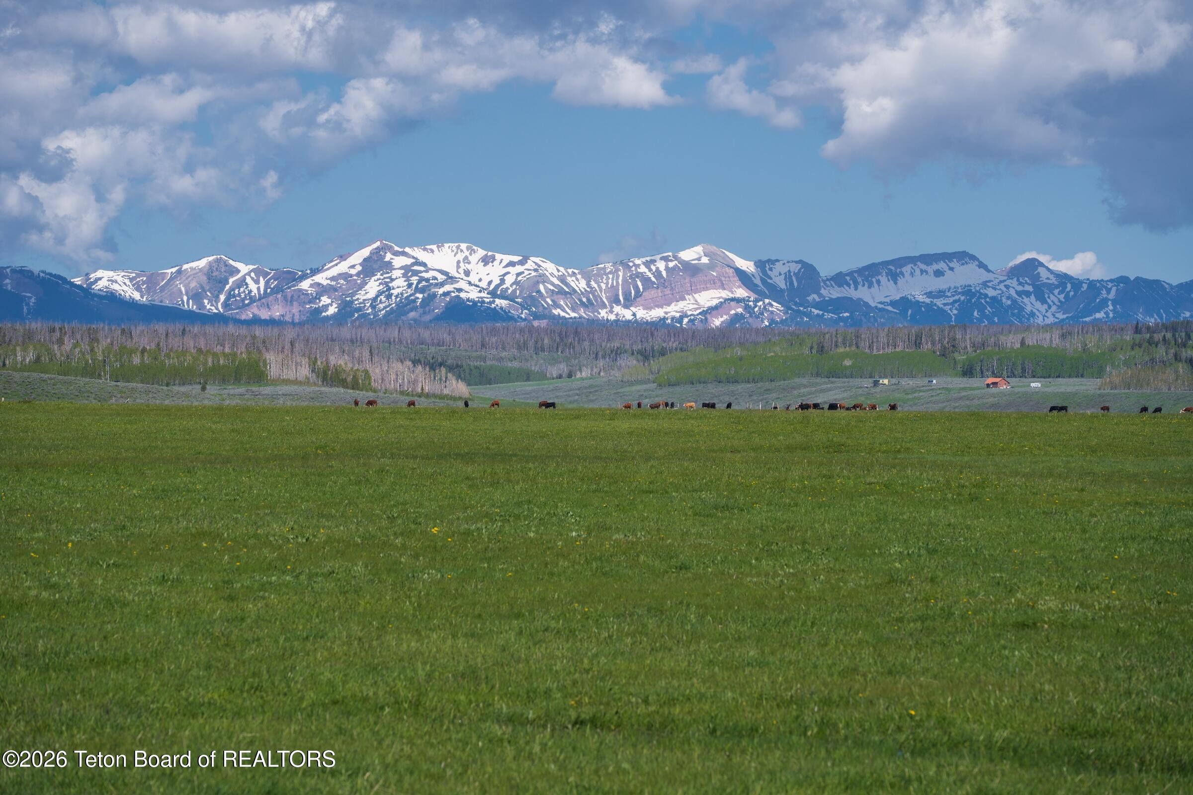 980 ACRES MERNA N. BEAVER