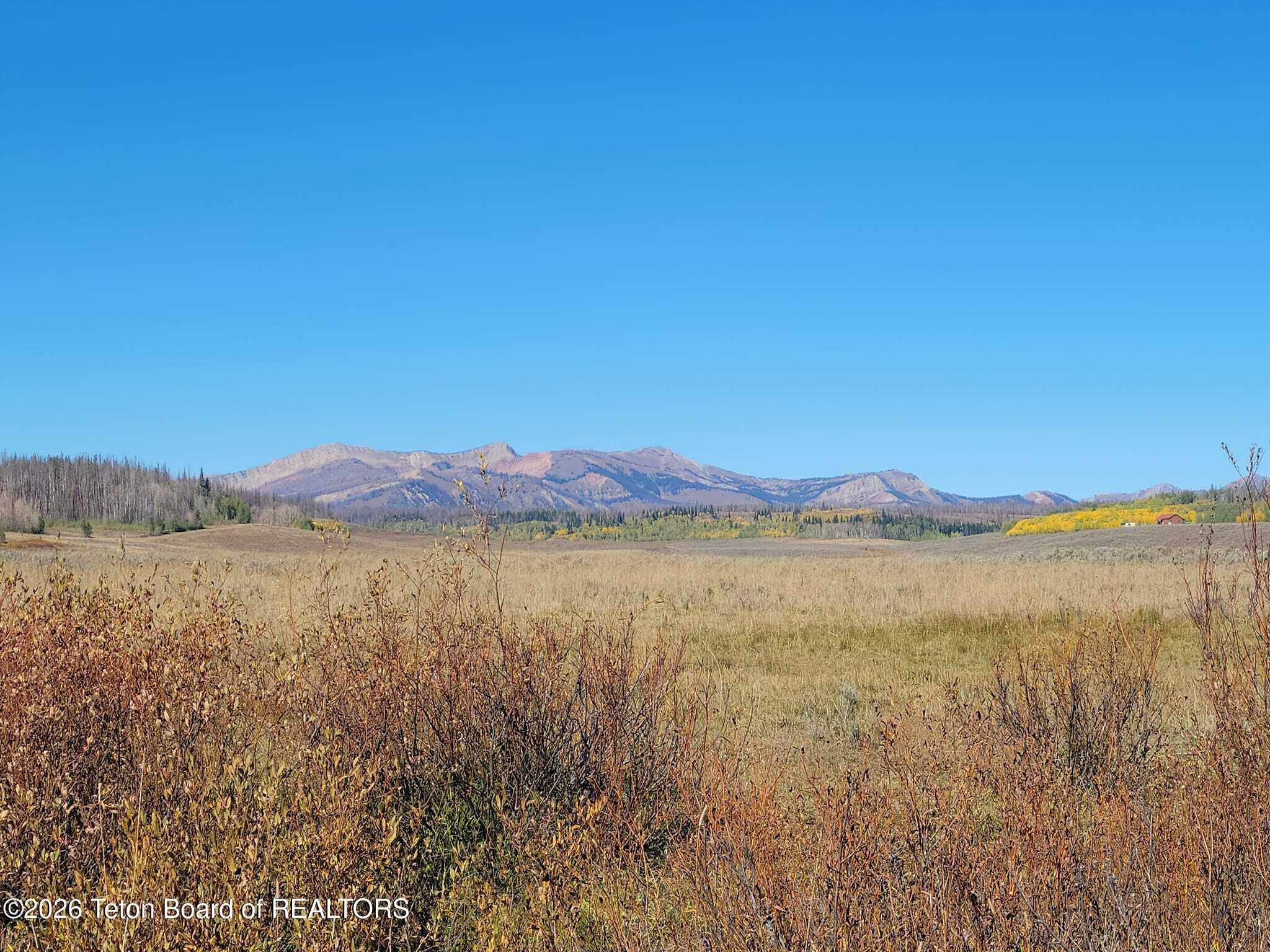 980 ACRES MERNA N. BEAVER