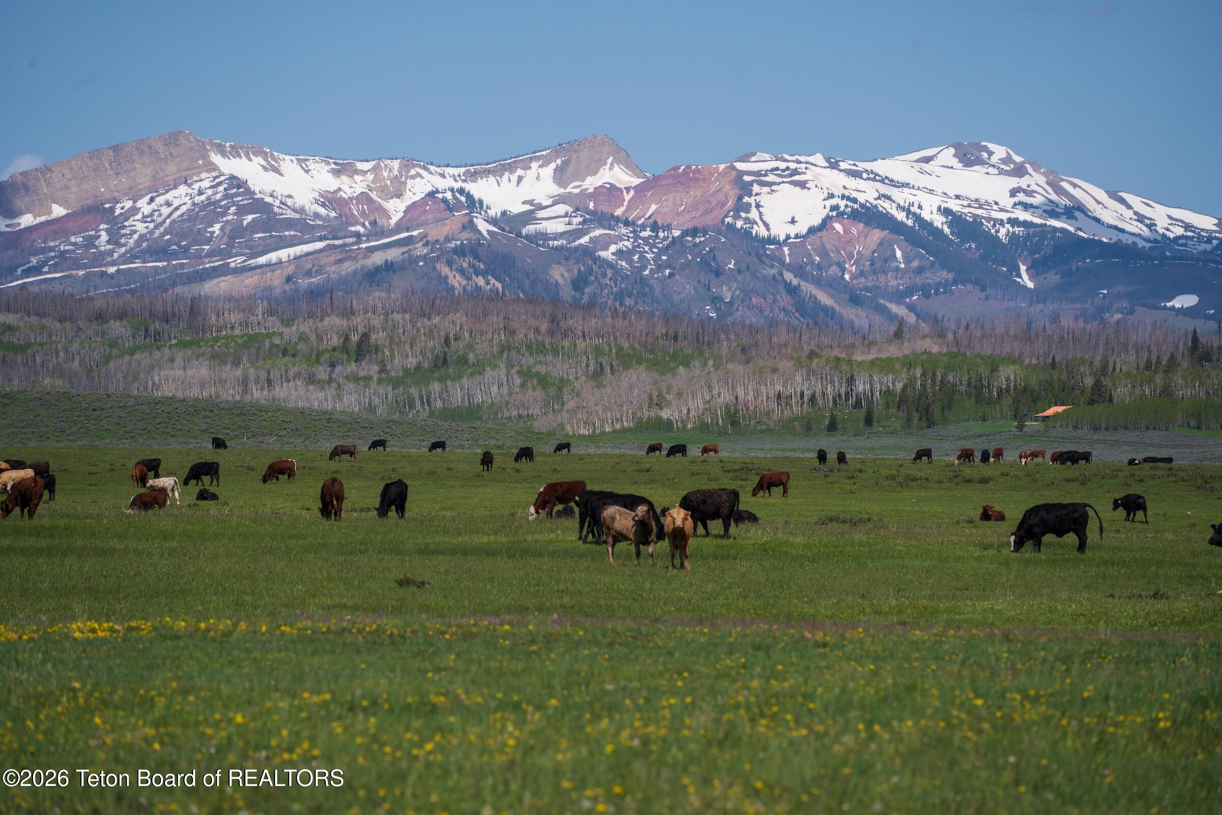 980 ACRES MERNA N. BEAVER