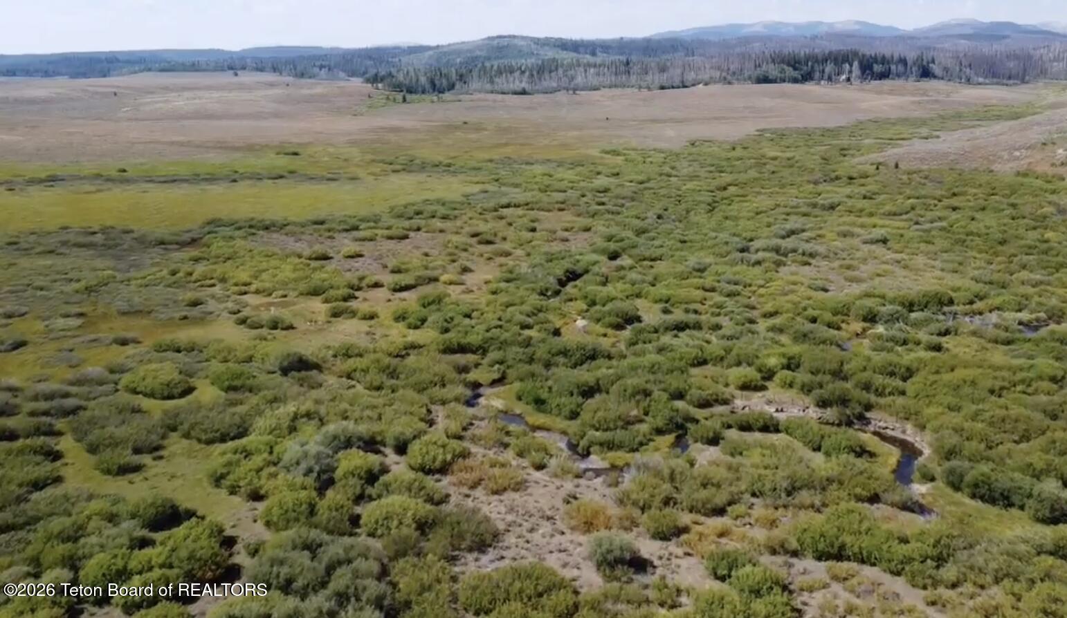 980 ACRES MERNA N. BEAVER