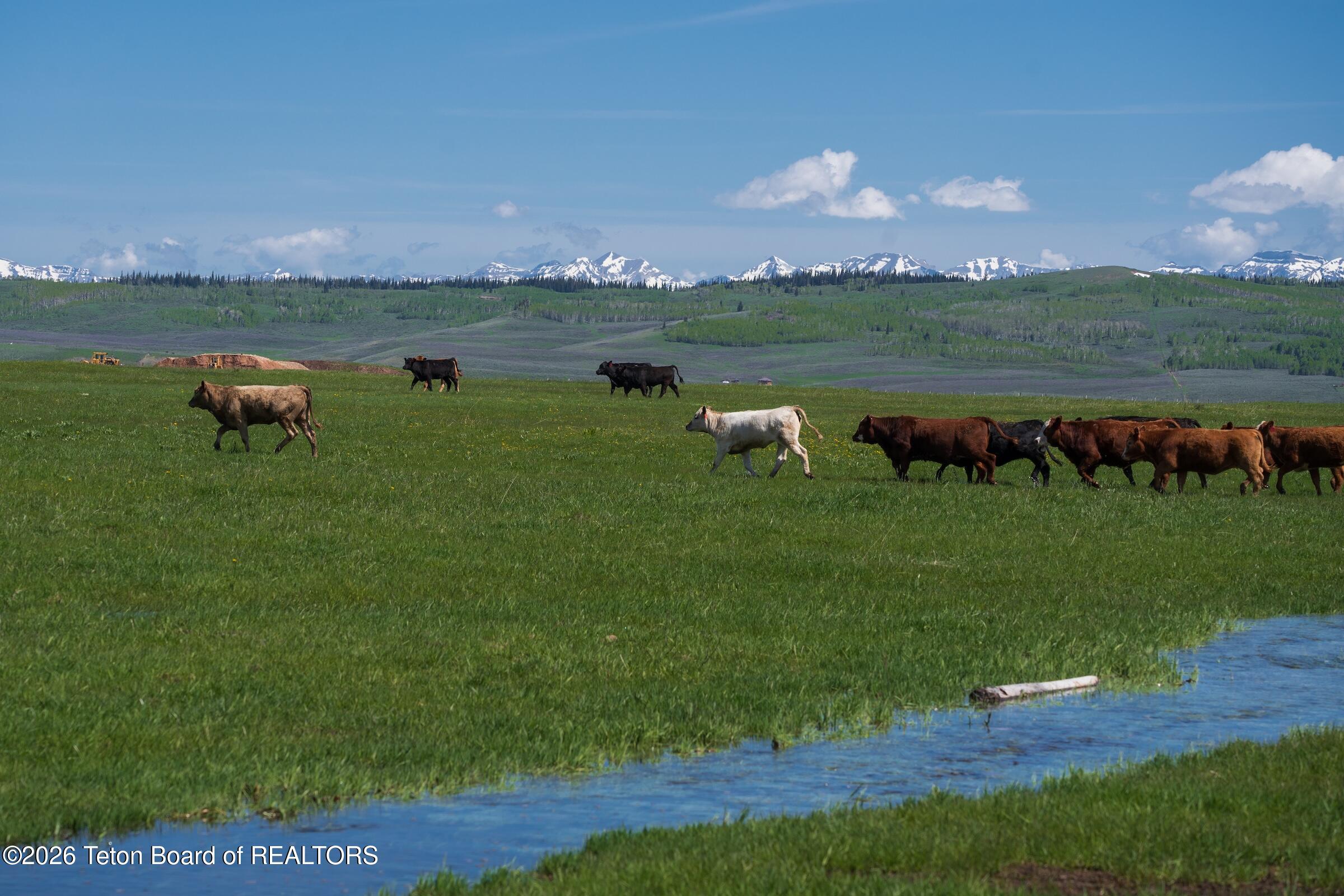 980 ACRES MERNA N. BEAVER