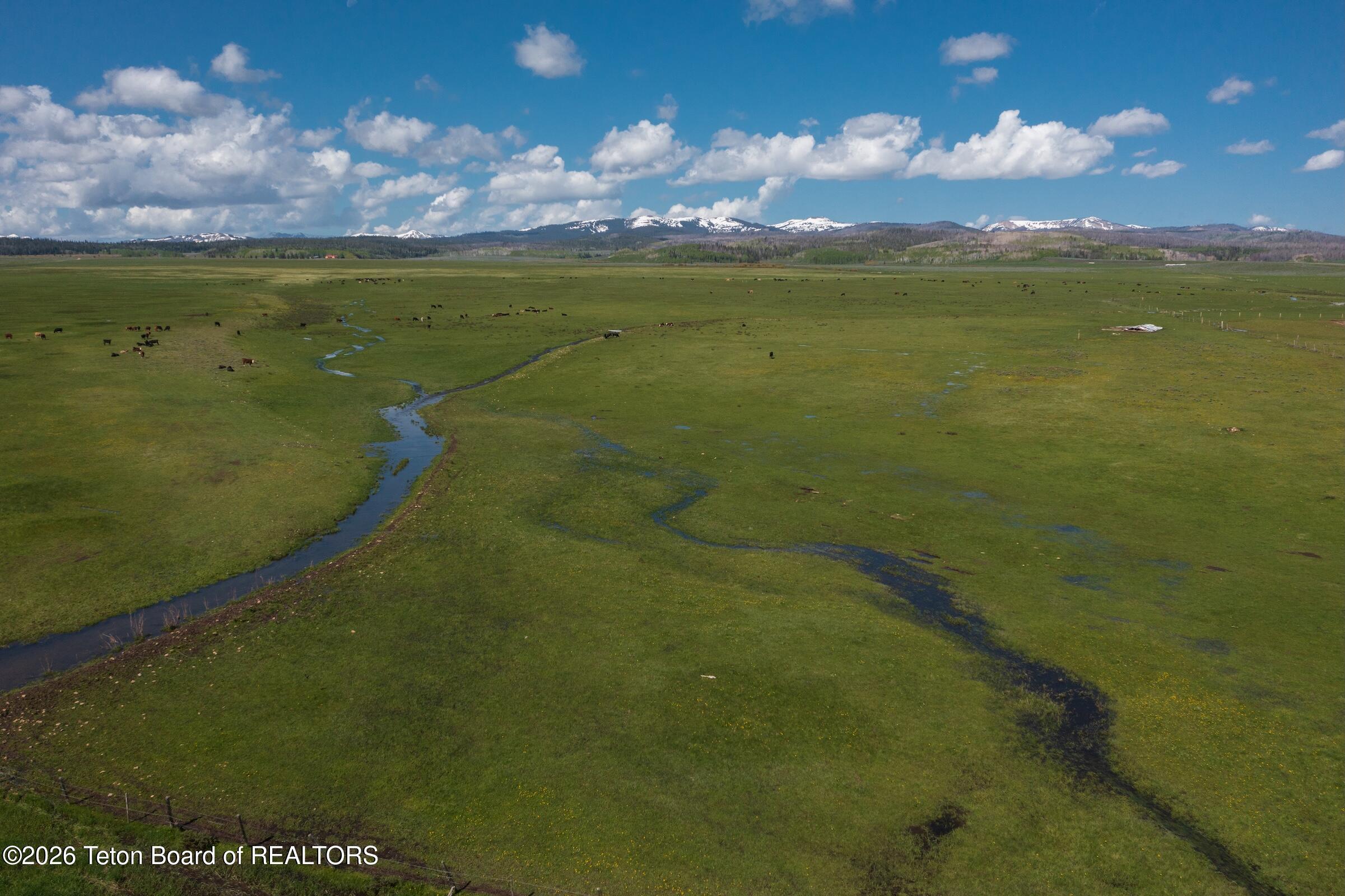 980 ACRES MERNA N. BEAVER