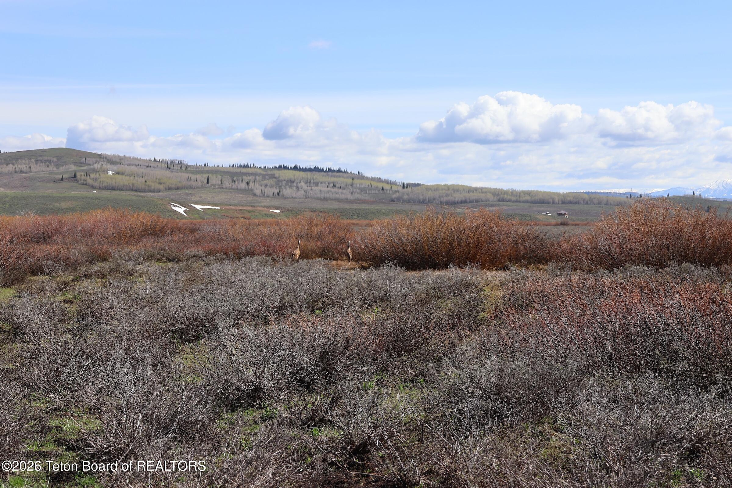 980 ACRES MERNA N. BEAVER