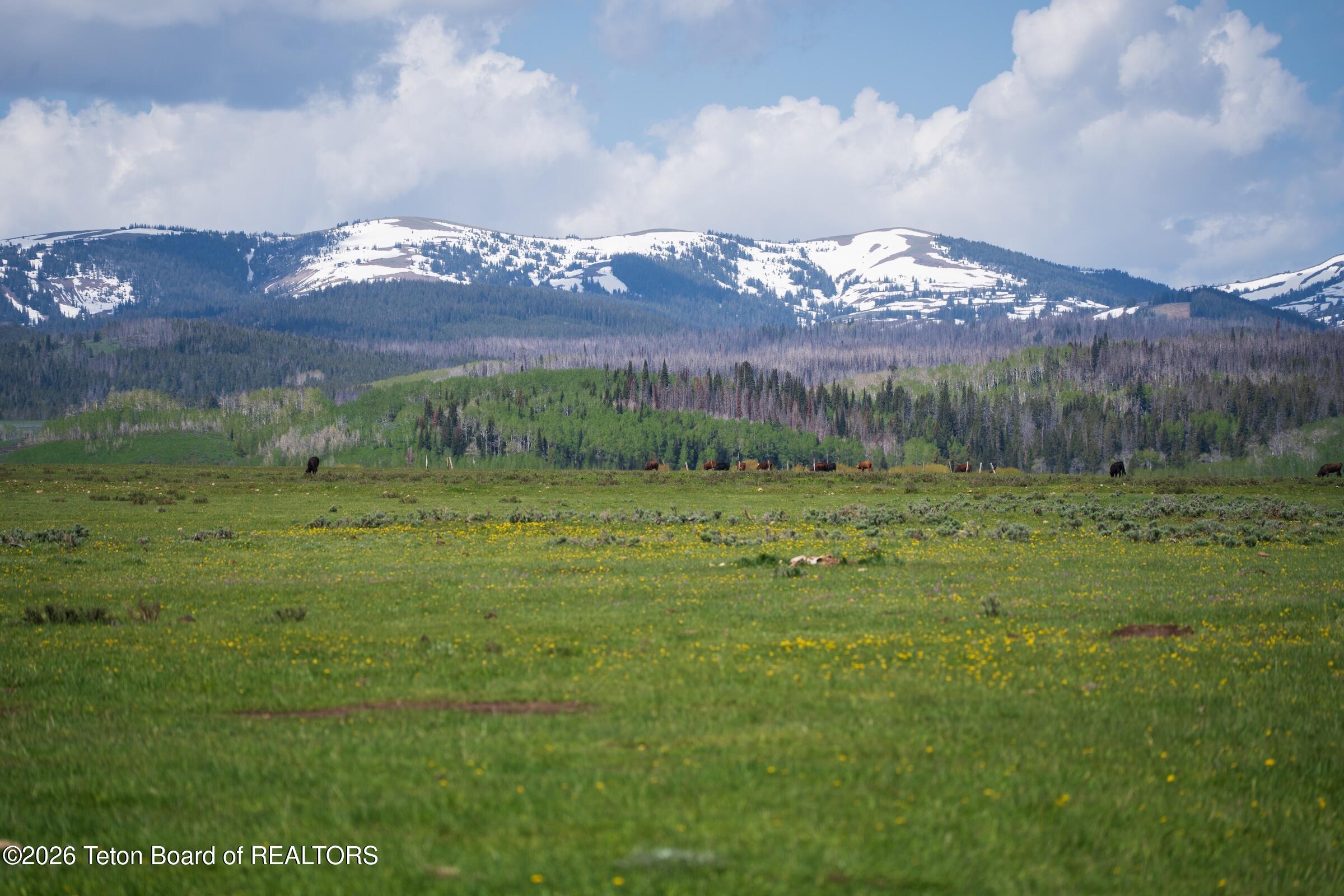 980 ACRES MERNA N. BEAVER