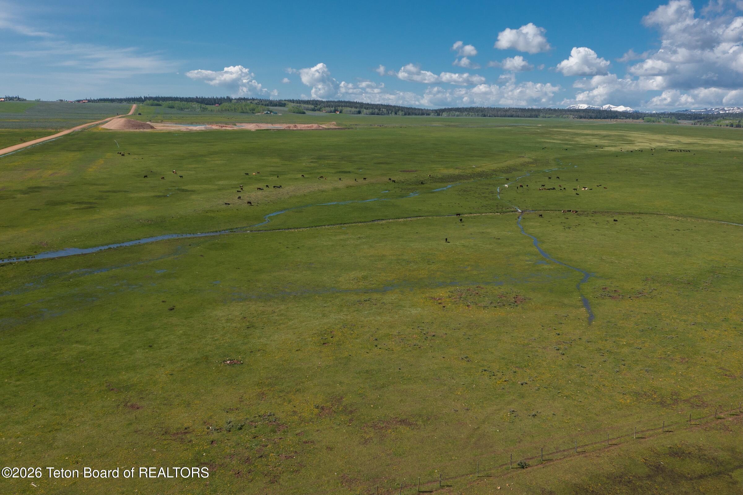 980 ACRES MERNA N. BEAVER