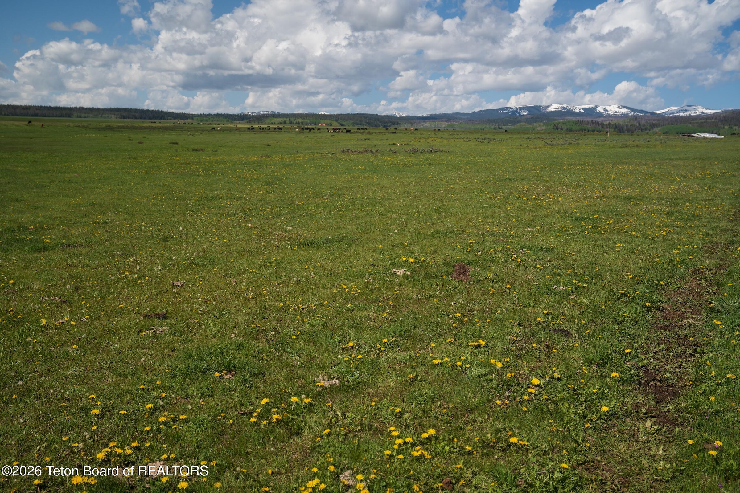 980 ACRES MERNA N. BEAVER
