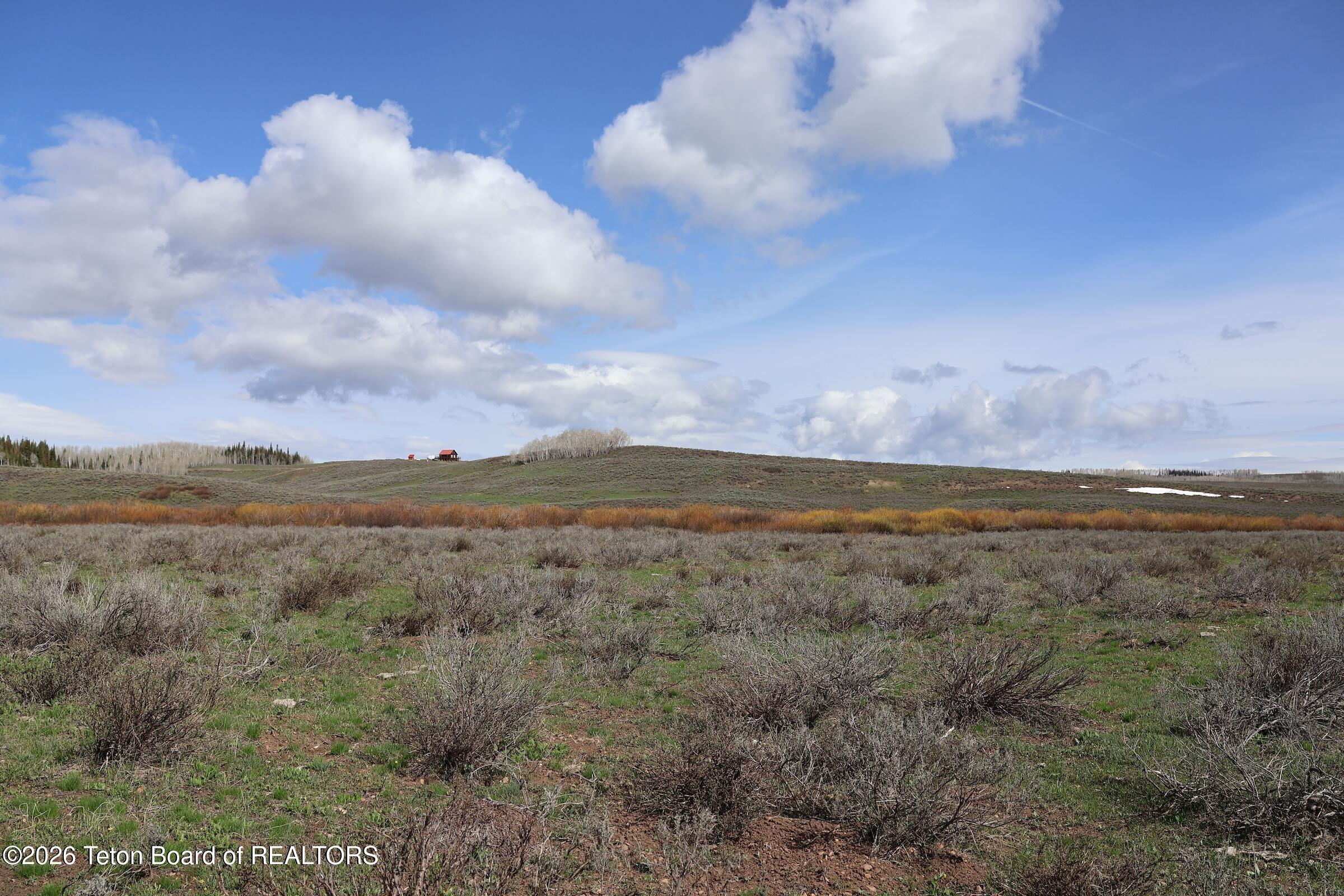 980 ACRES MERNA N. BEAVER