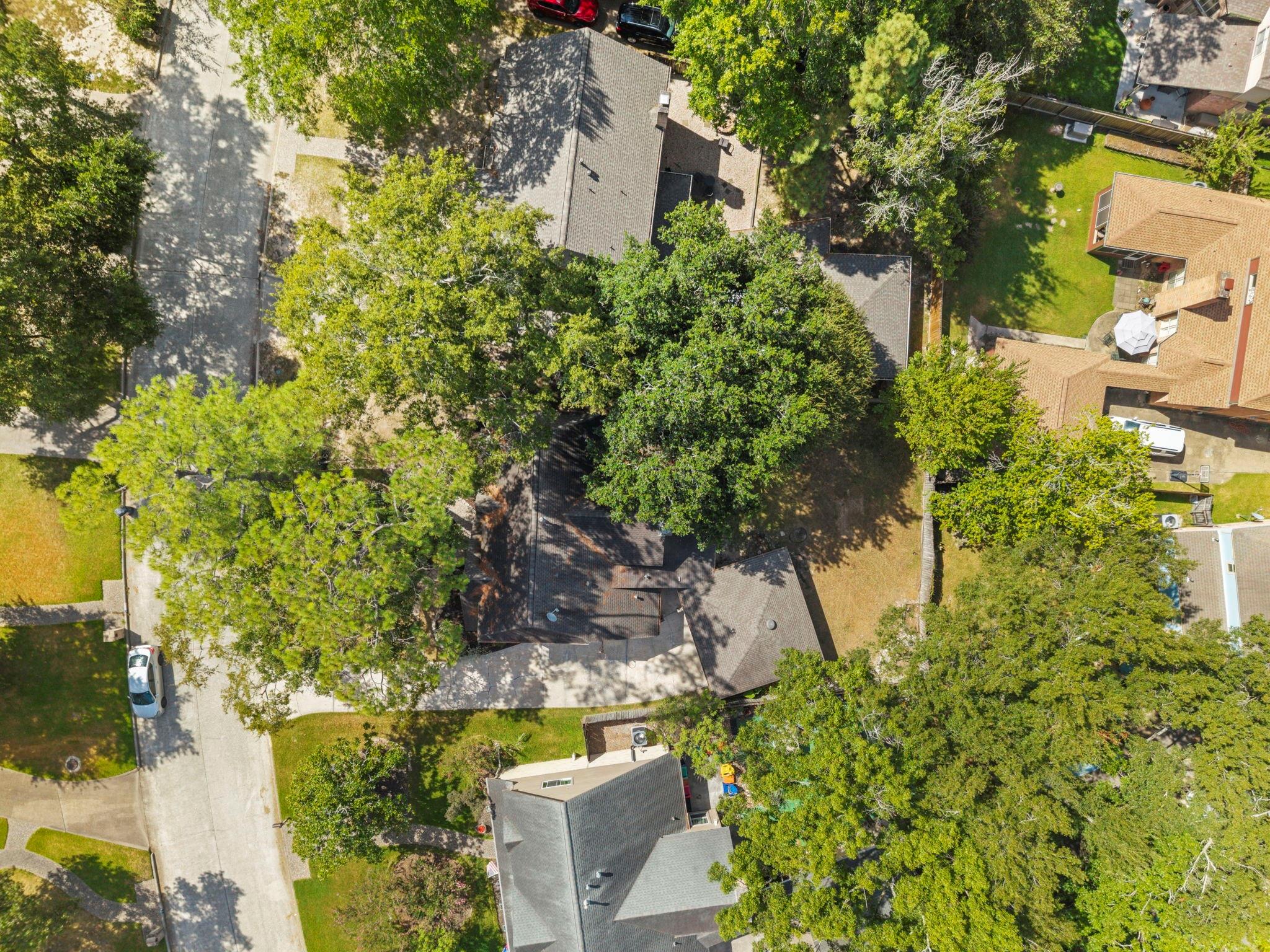 3319 Three Pines Drive