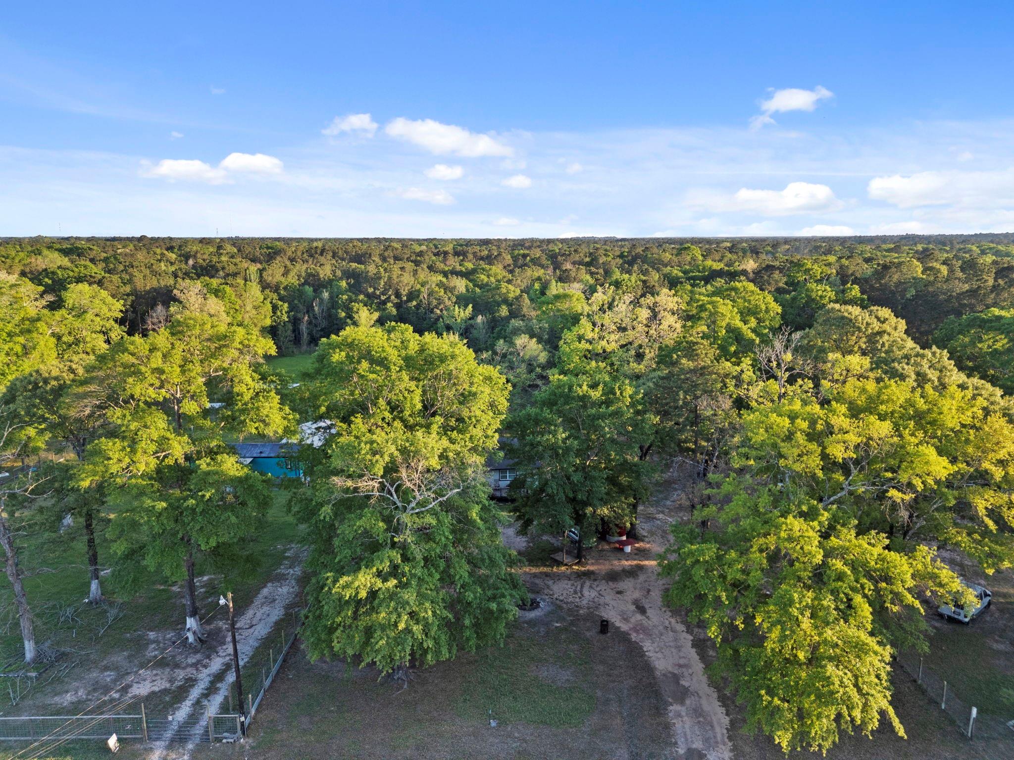 461 Trails End Drive