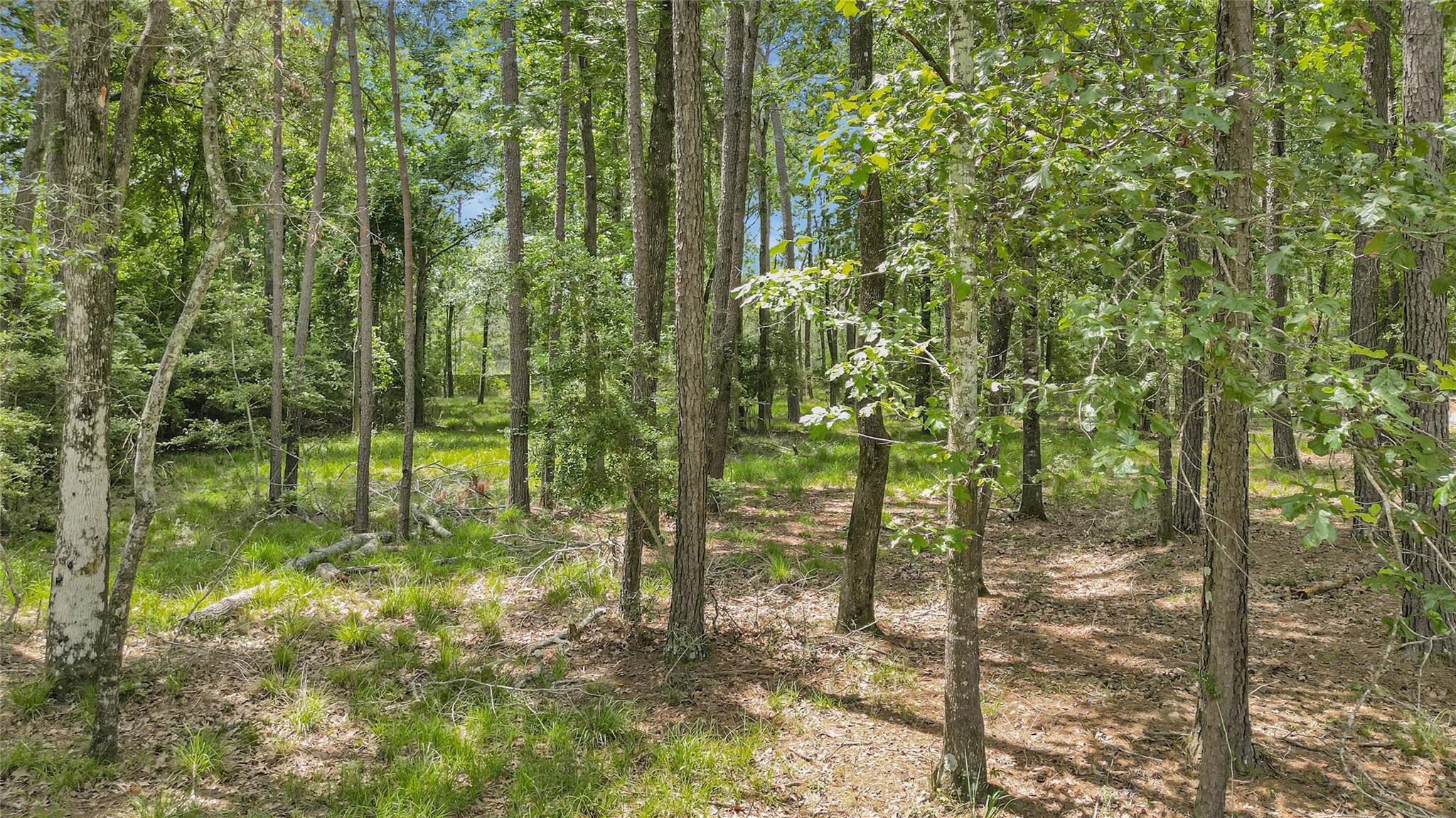 1030 S Commons View Drive