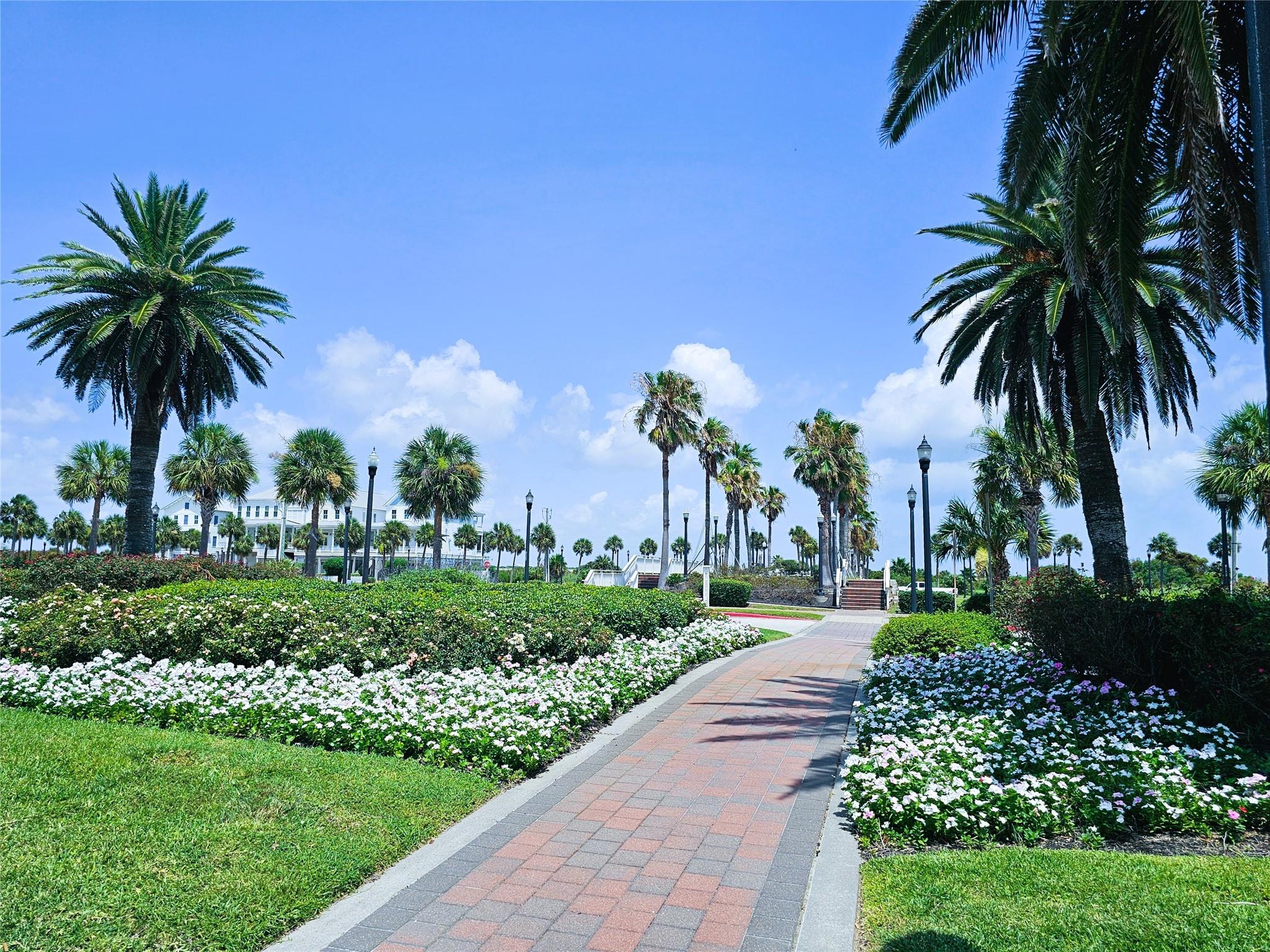 722 & 726 Ramsar Road