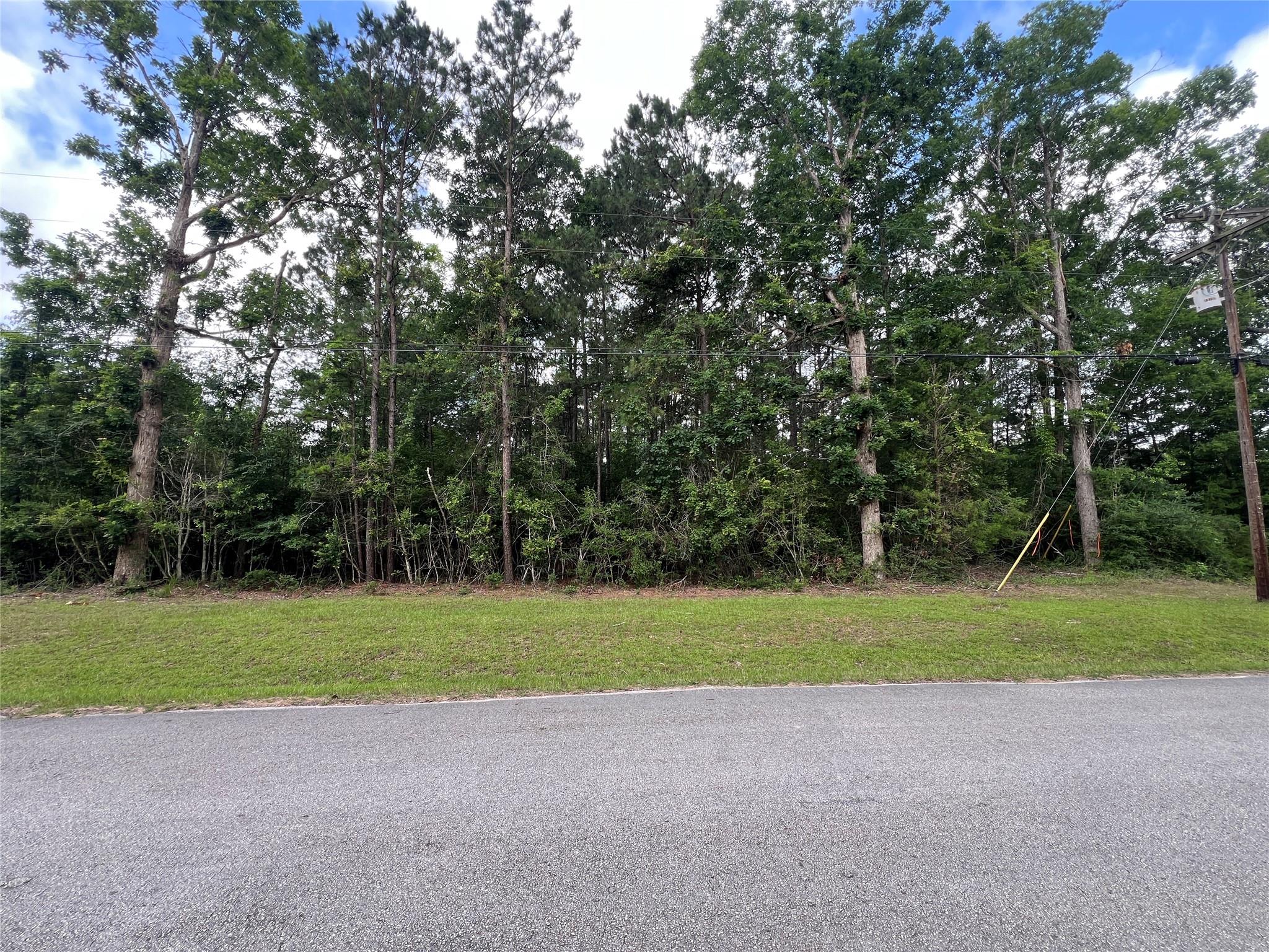 319 Lost Lake Trail