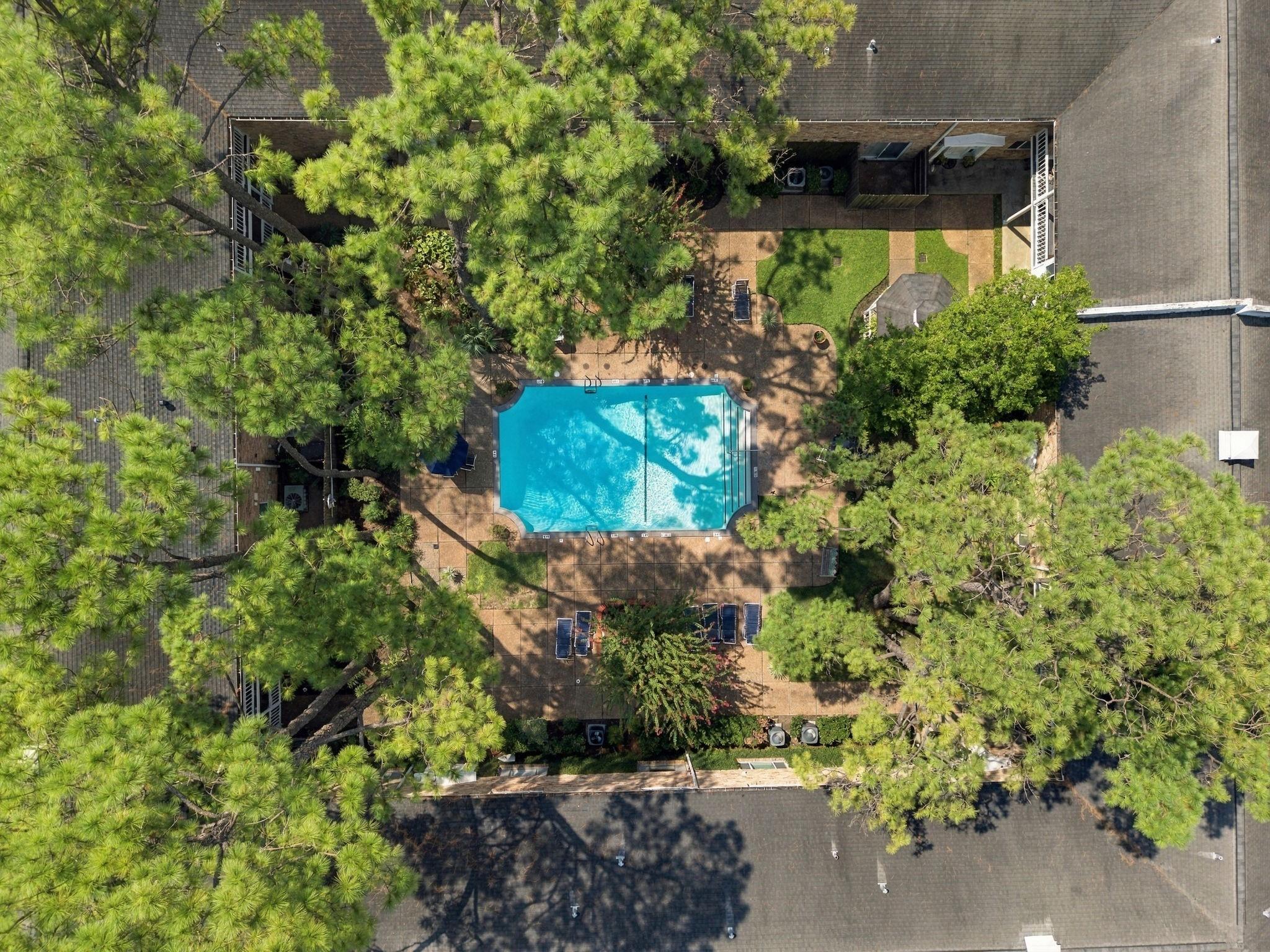 4040 San Felipe Street # 202