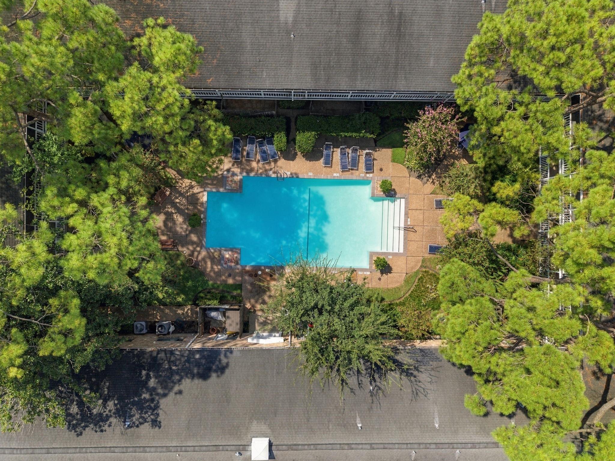 4040 San Felipe Street # 202
