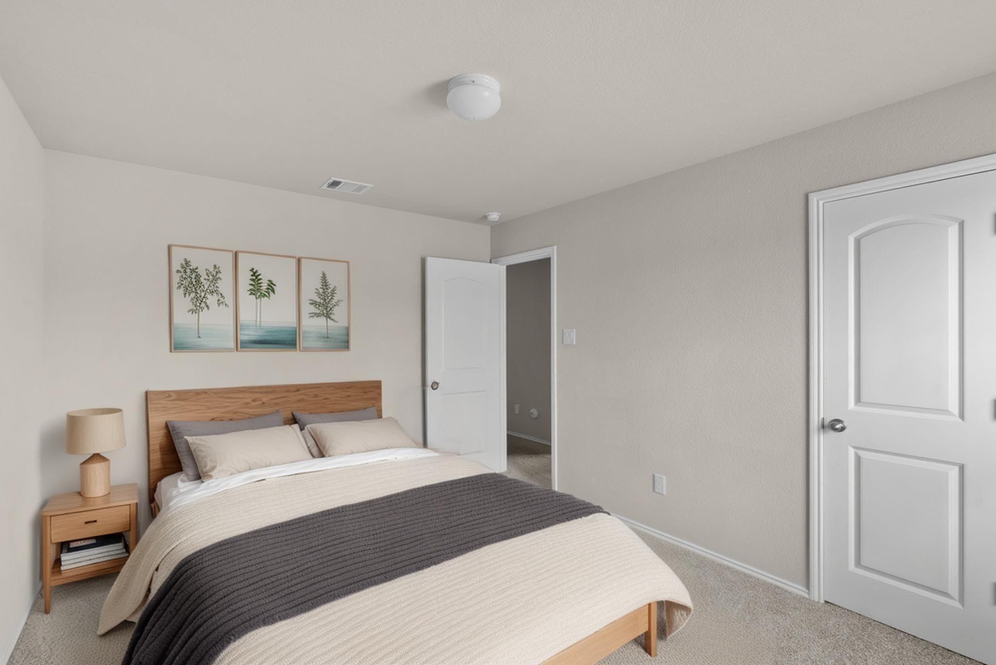 20811 Olive Leaf Street