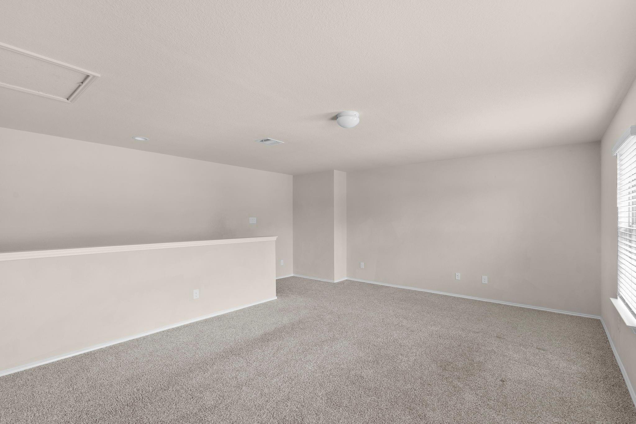 20811 Olive Leaf Street