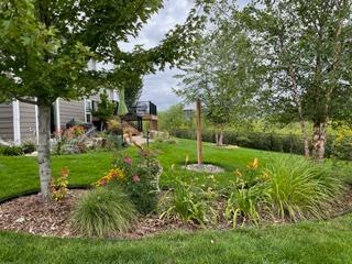 13331 White Pine Court N