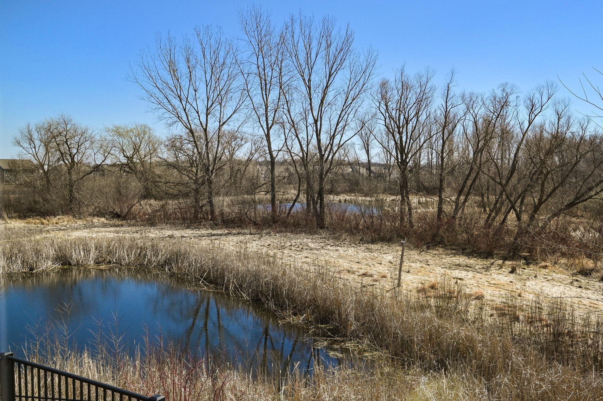 13331 White Pine Court N