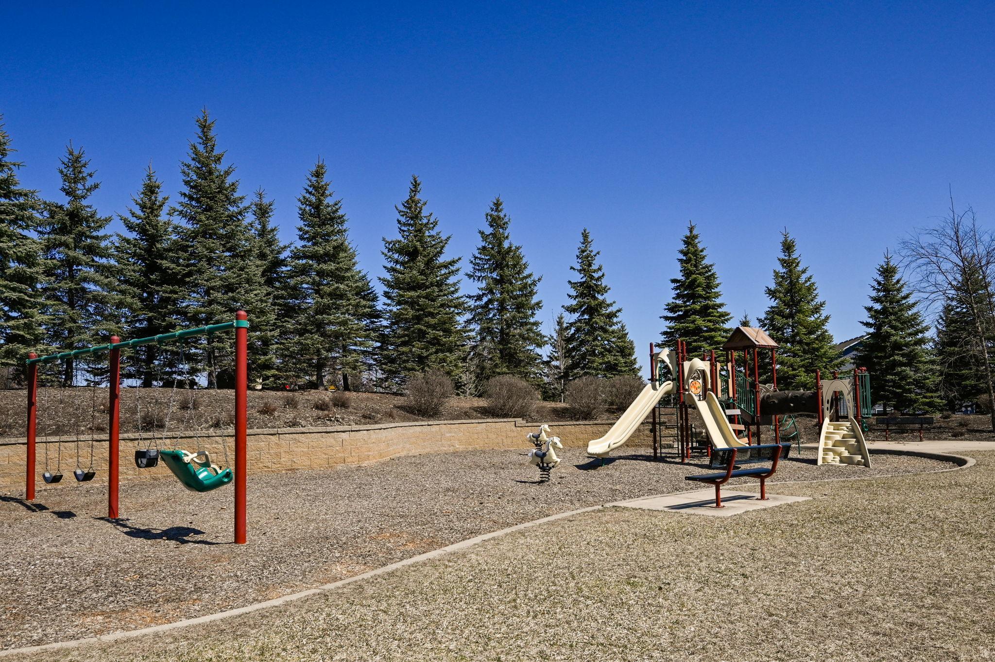 13331 White Pine Court N