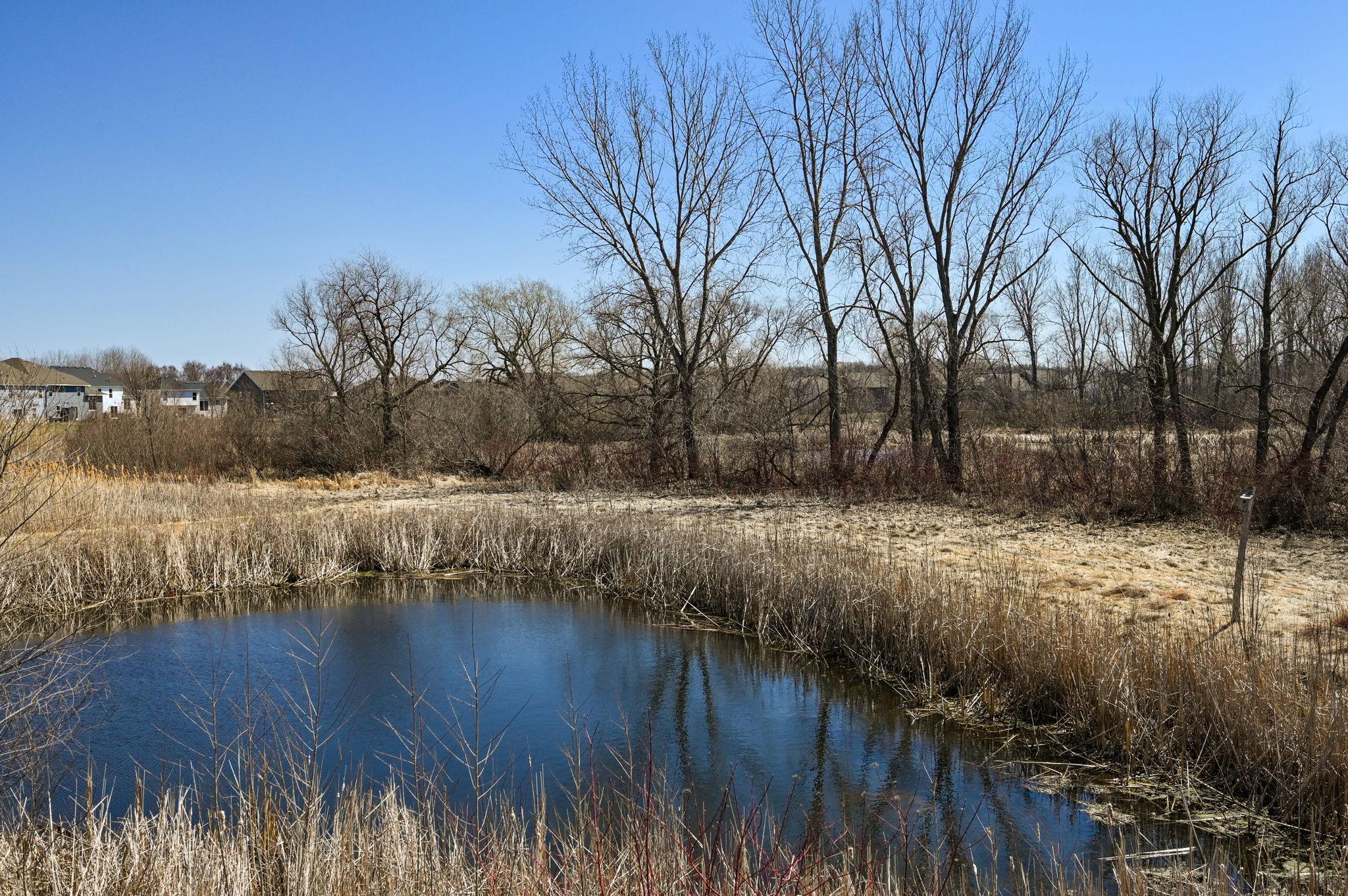 13331 White Pine Court N