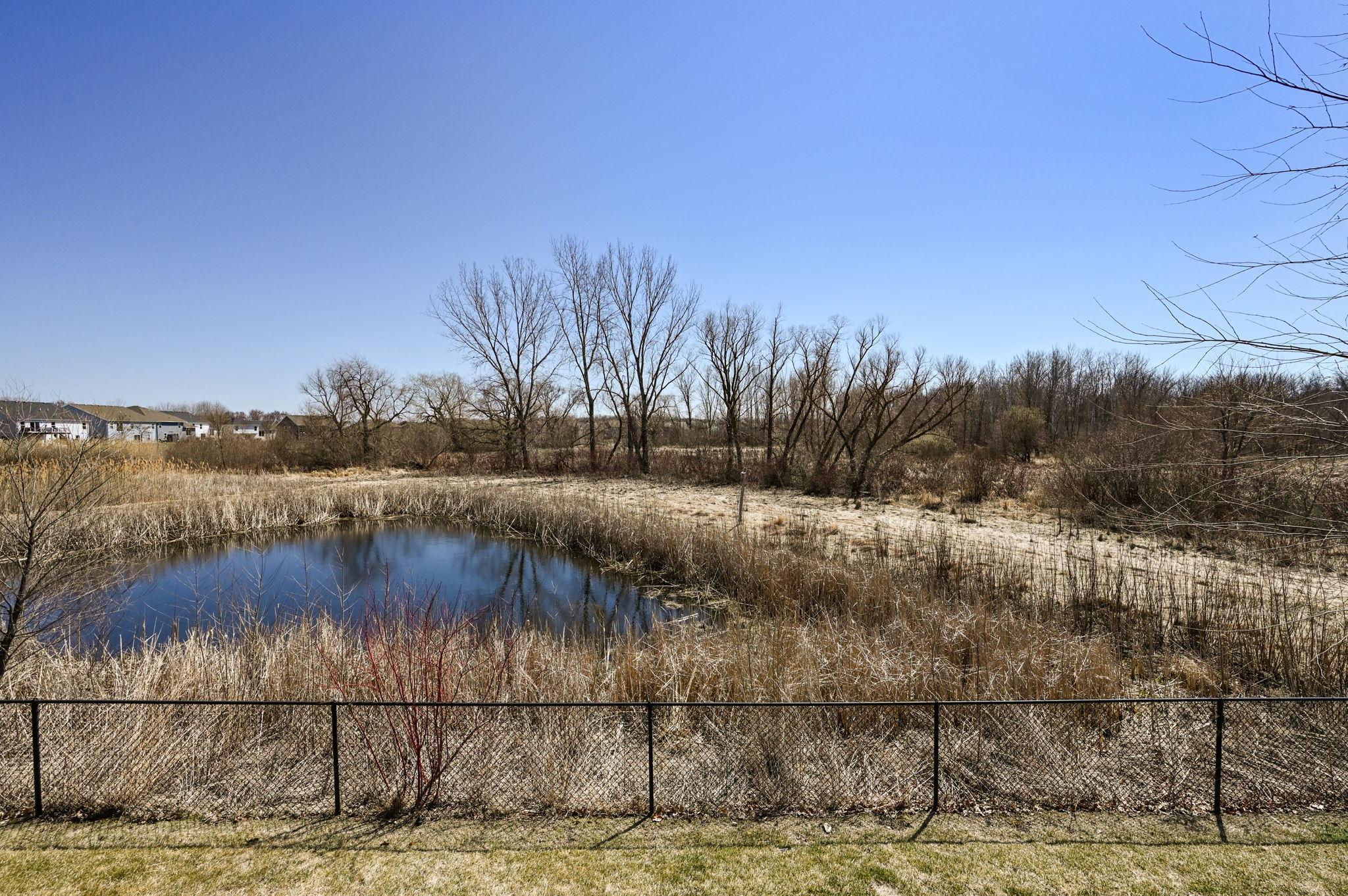 13331 White Pine Court N