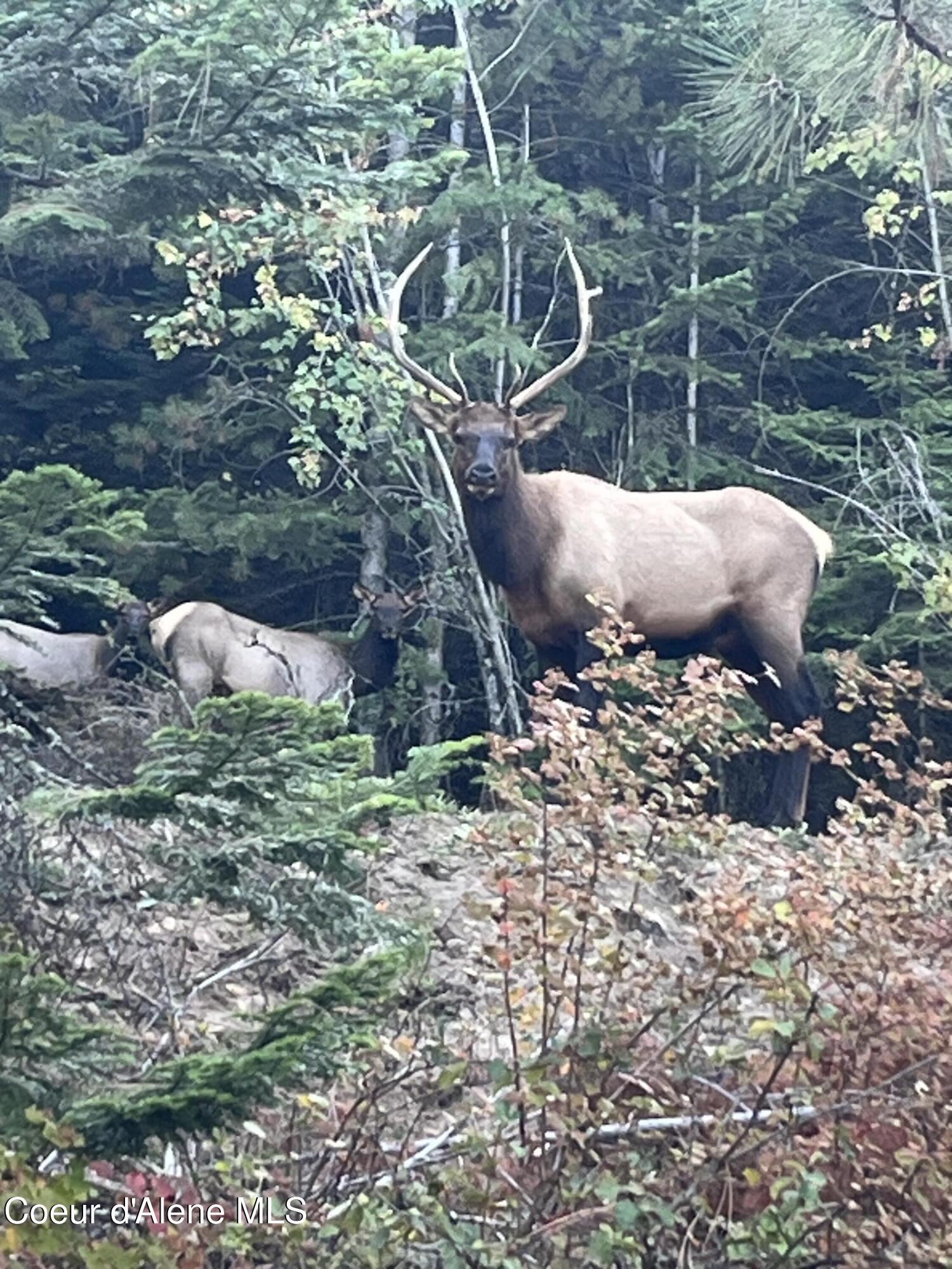 3807 E AVERY LN, Coeur d'Alene