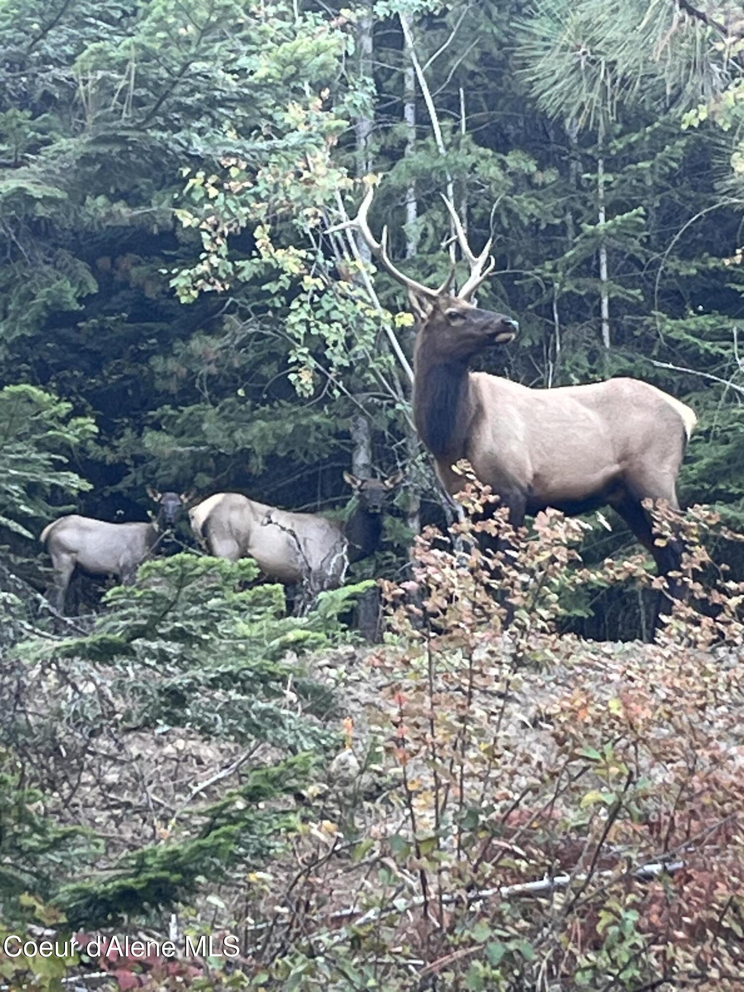 3807 E Avery LN, Coeur d'Alene