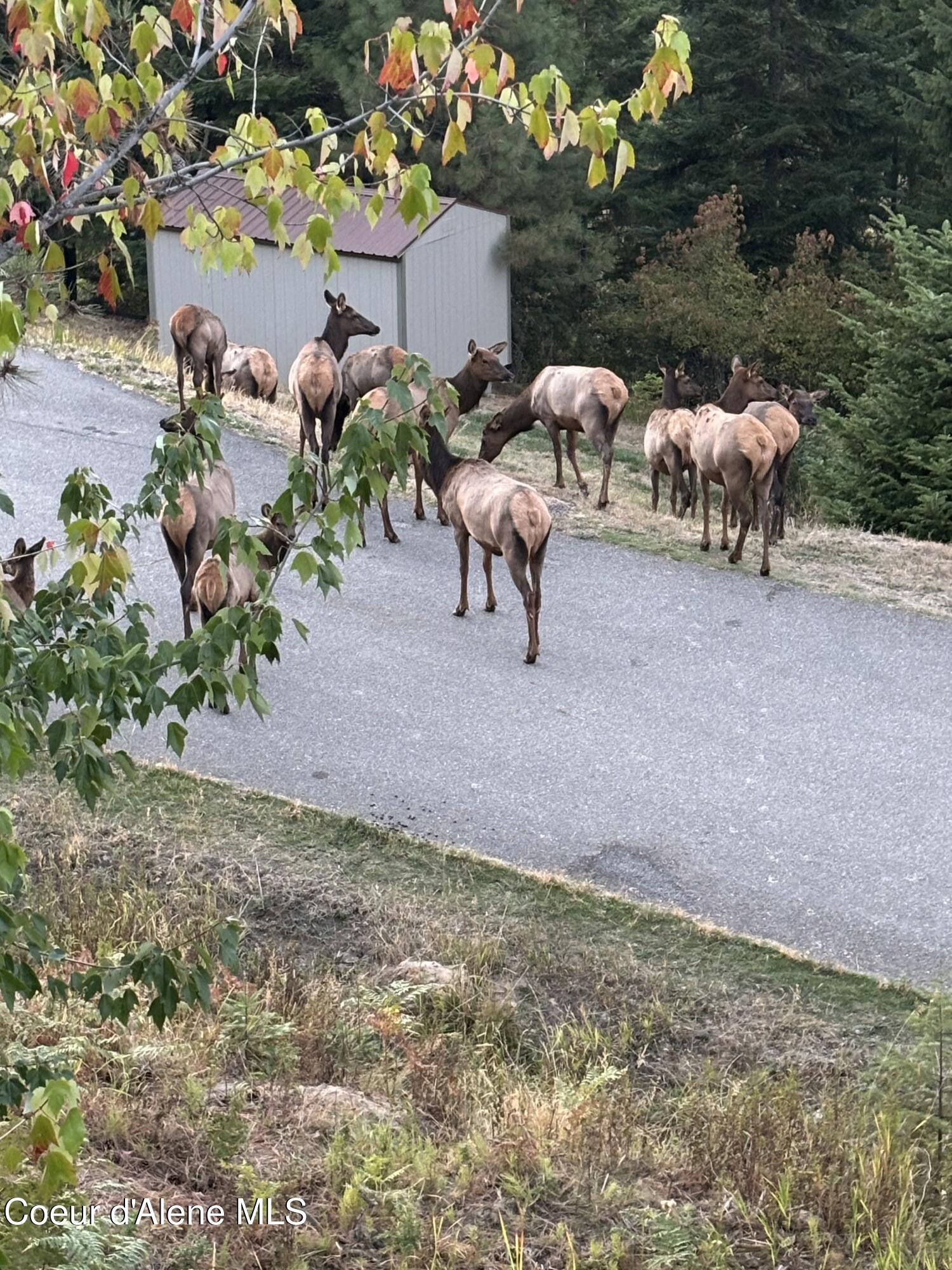 3807 E Avery LN, Coeur d'Alene