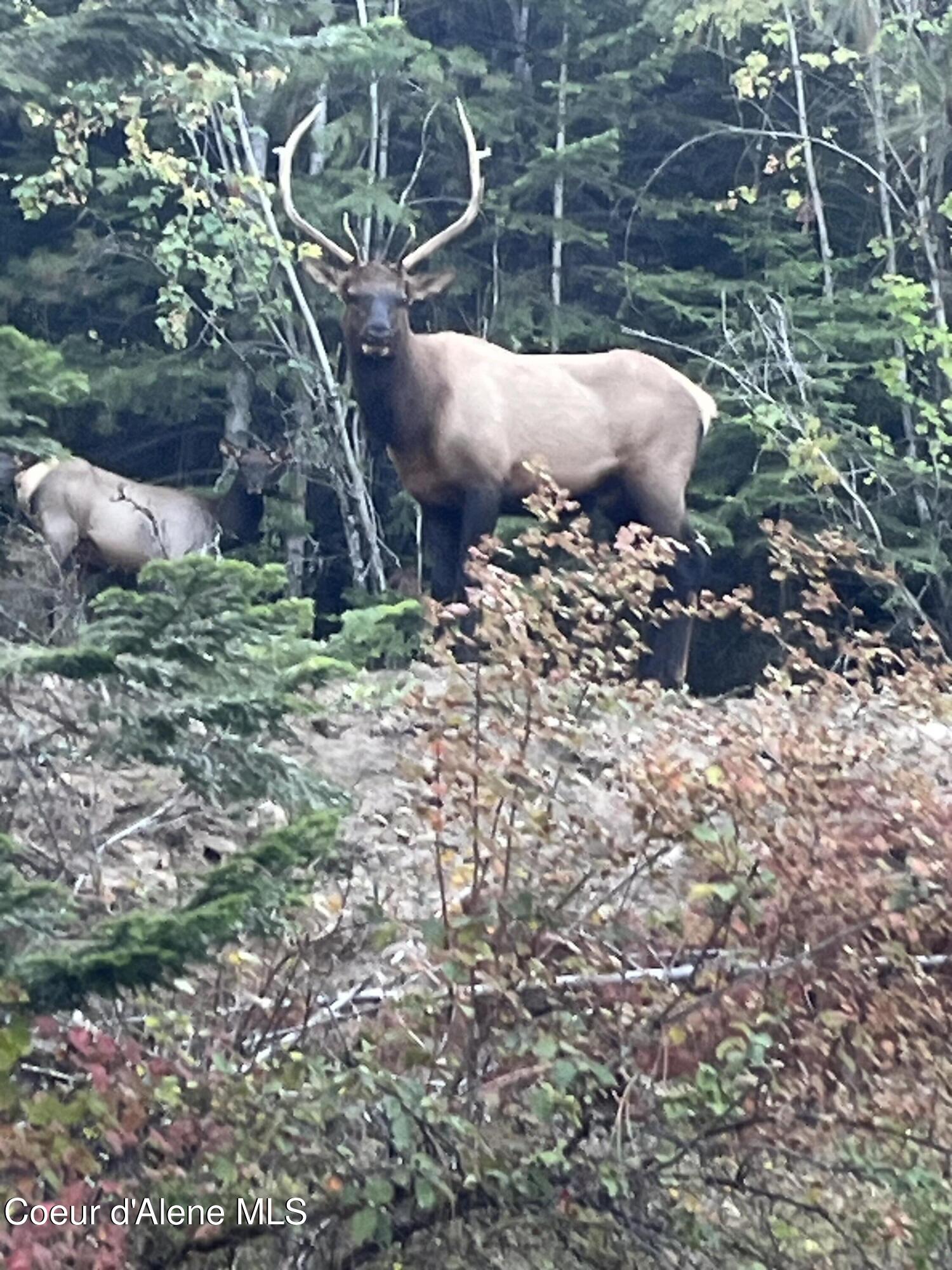 3807 E Avery LN, Coeur d'Alene