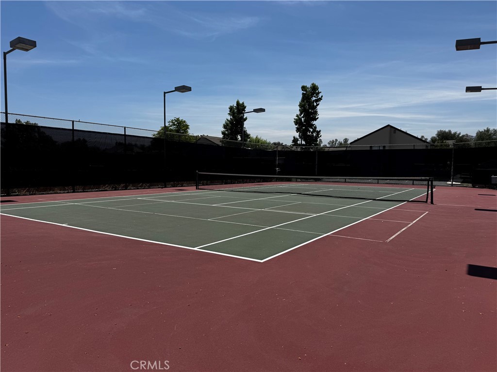 24644 Masters Cup Way