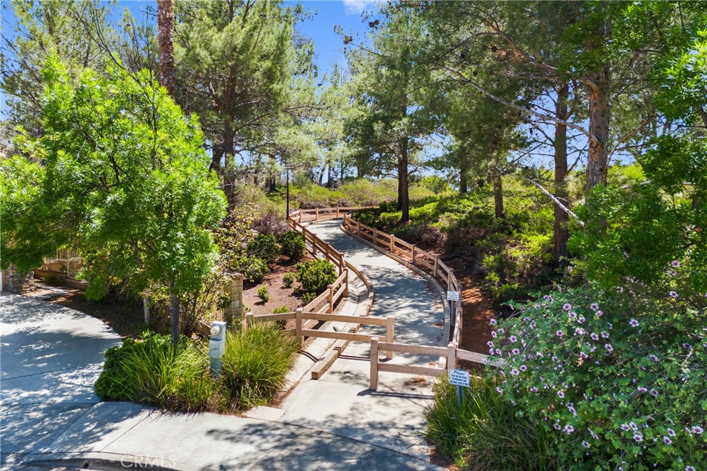 27811 Bloomfield Court